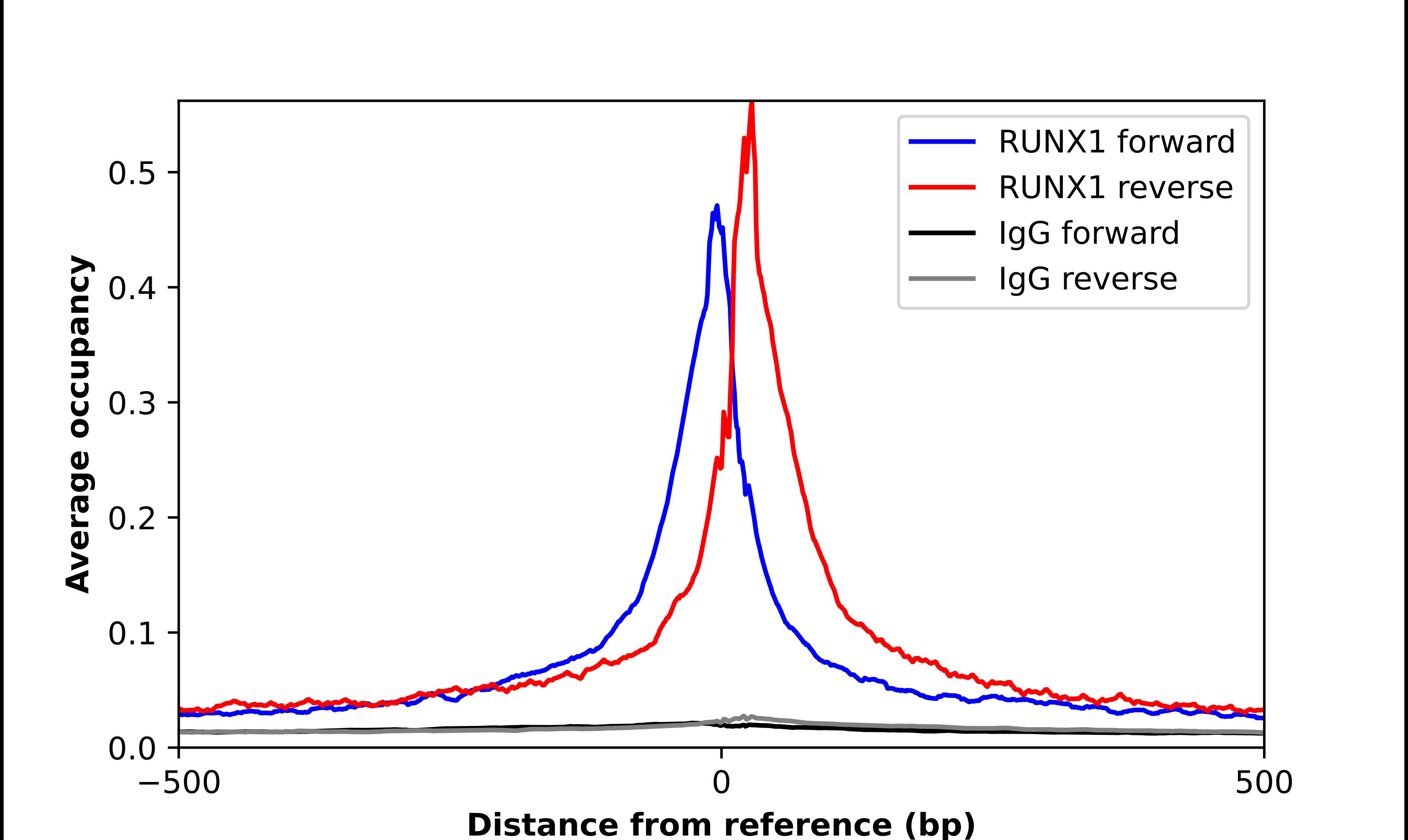 RUNX1/CBFA2 Antibody - BSA Free Chromatin Immunoprecipitation-exo-Seq: RUNX1/CBFA2 Antibody - BSA Free [NBP2-55213]