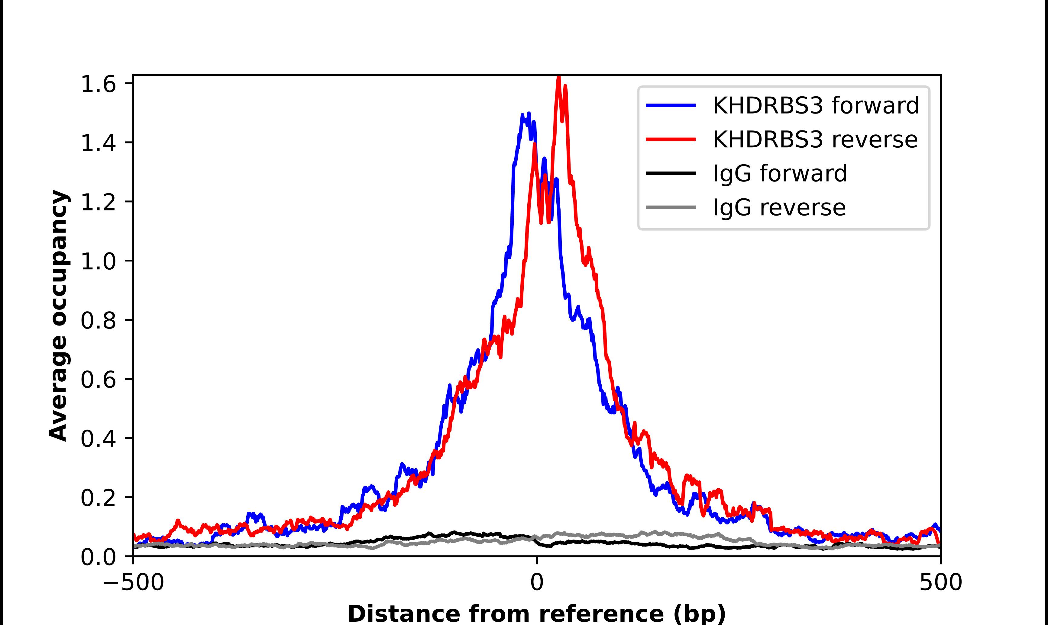 KHDRBS3 Antibody - BSA Free Chromatin Immunoprecipitation-exo-Seq: KHDRBS3 Antibody - BSA Free [NBP2-55220]