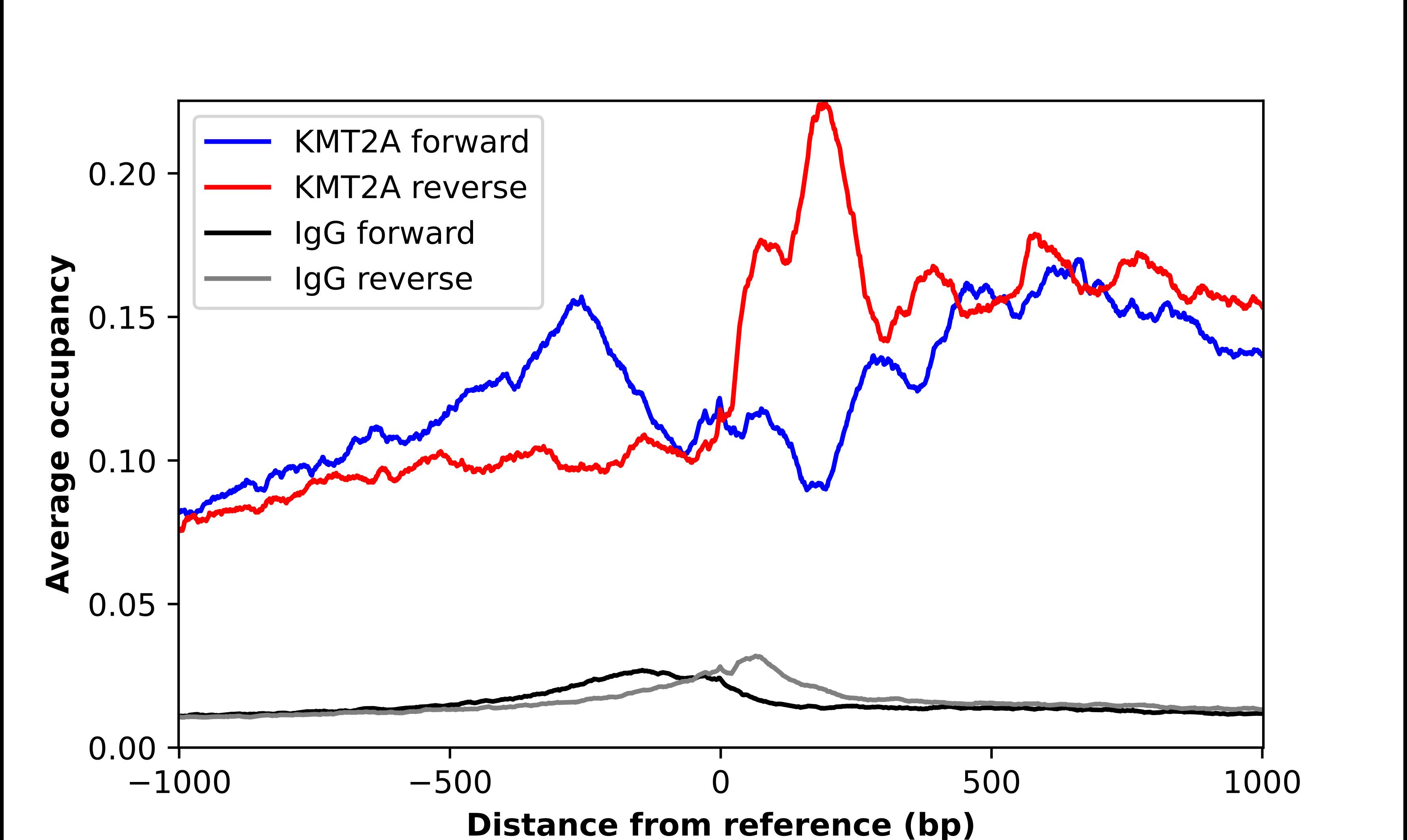 KMT2A/MLL Antibody - BSA Free Chromatin Immunoprecipitation-exo-Seq: KMT2A/MLL Antibody - BSA Free [NBP2-55237]