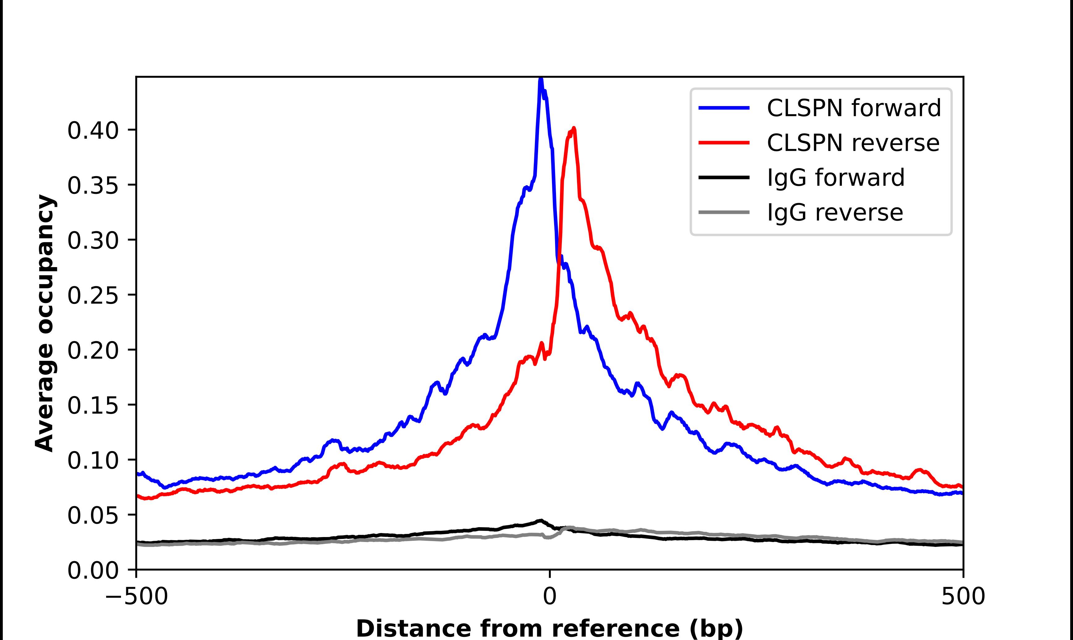 Claspin Antibody - BSA Free Chromatin Immunoprecipitation ChIP: Claspin Antibody - BSA Free