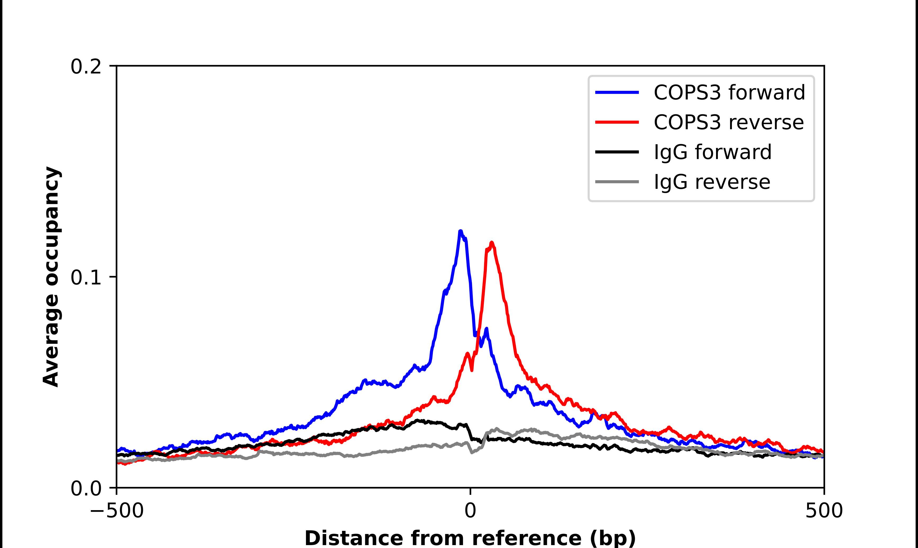 COP9 Antibody - BSA Free Chromatin Immunoprecipitation-exo-Seq: COP9 Antibody - BSA Free [NBP2-55300]