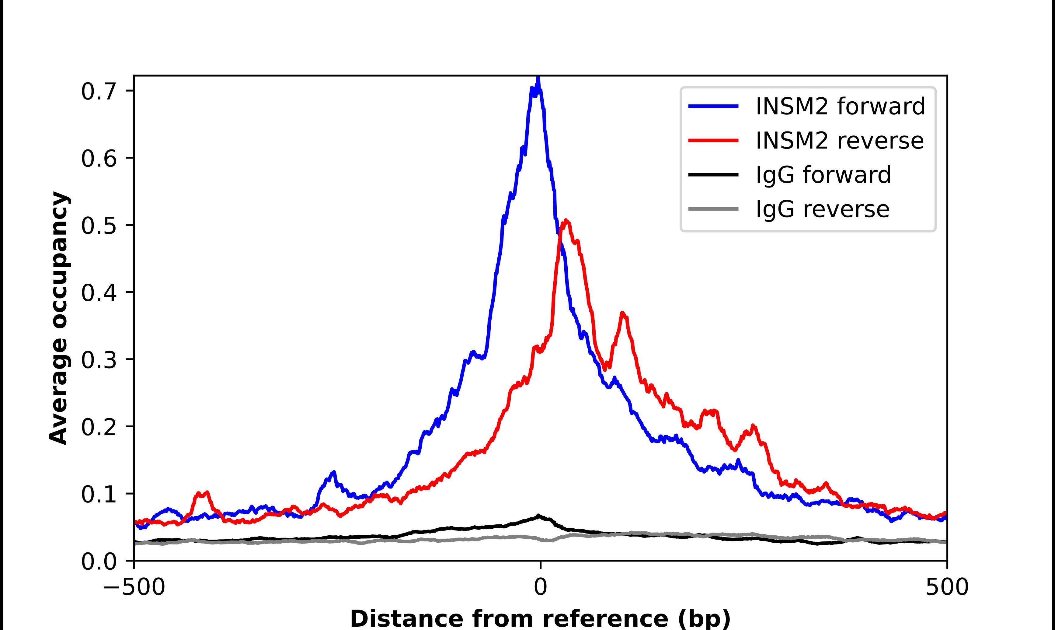 INSM2 Antibody - BSA Free Chromatin Immunoprecipitation-exo-Seq: INSM2 Antibody - BSA Free [NBP2-55336]
