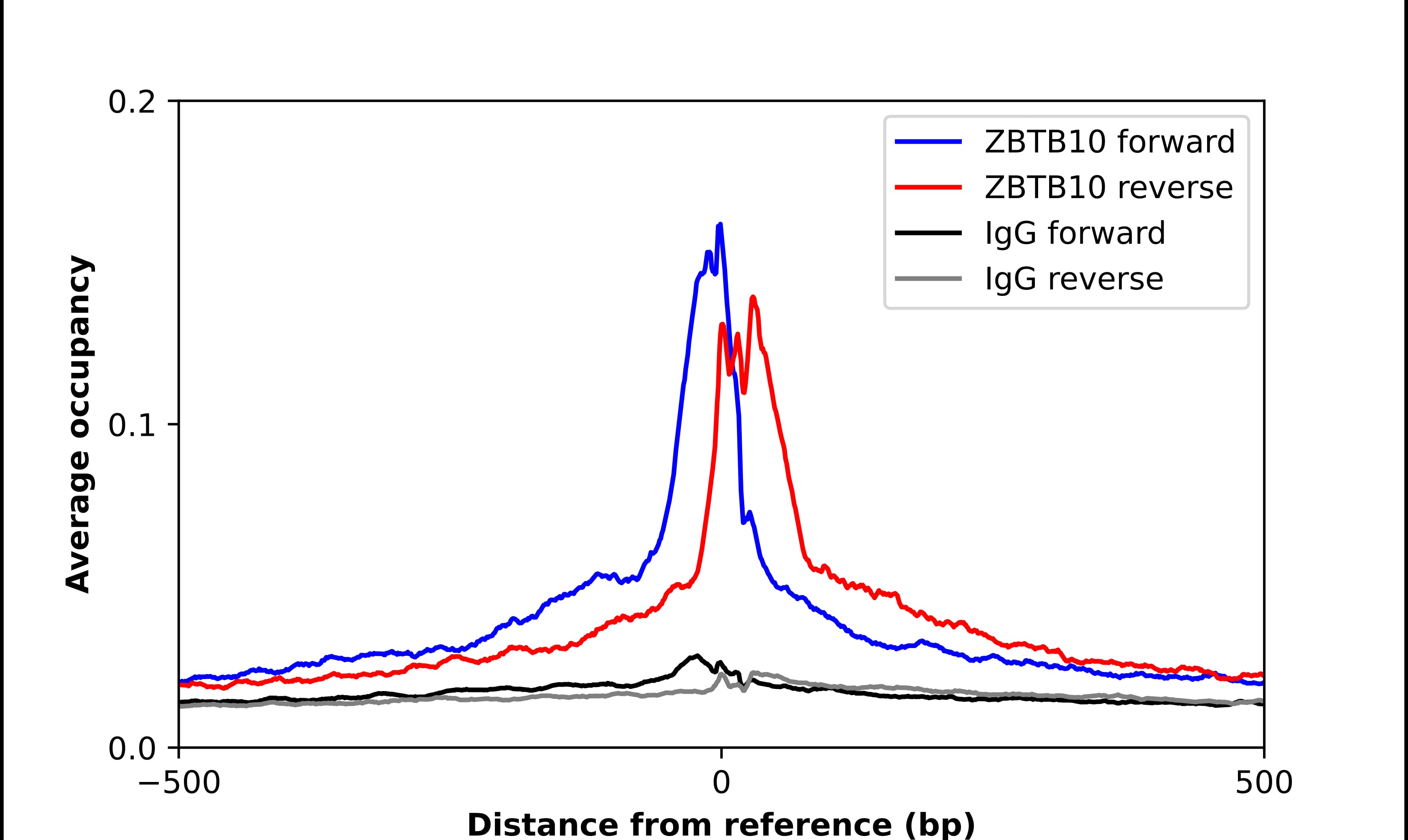 ZBTB10 Antibody - BSA Free Chromatin Immunoprecipitation ChIP: ZBTB10 Antibody - BSA Free