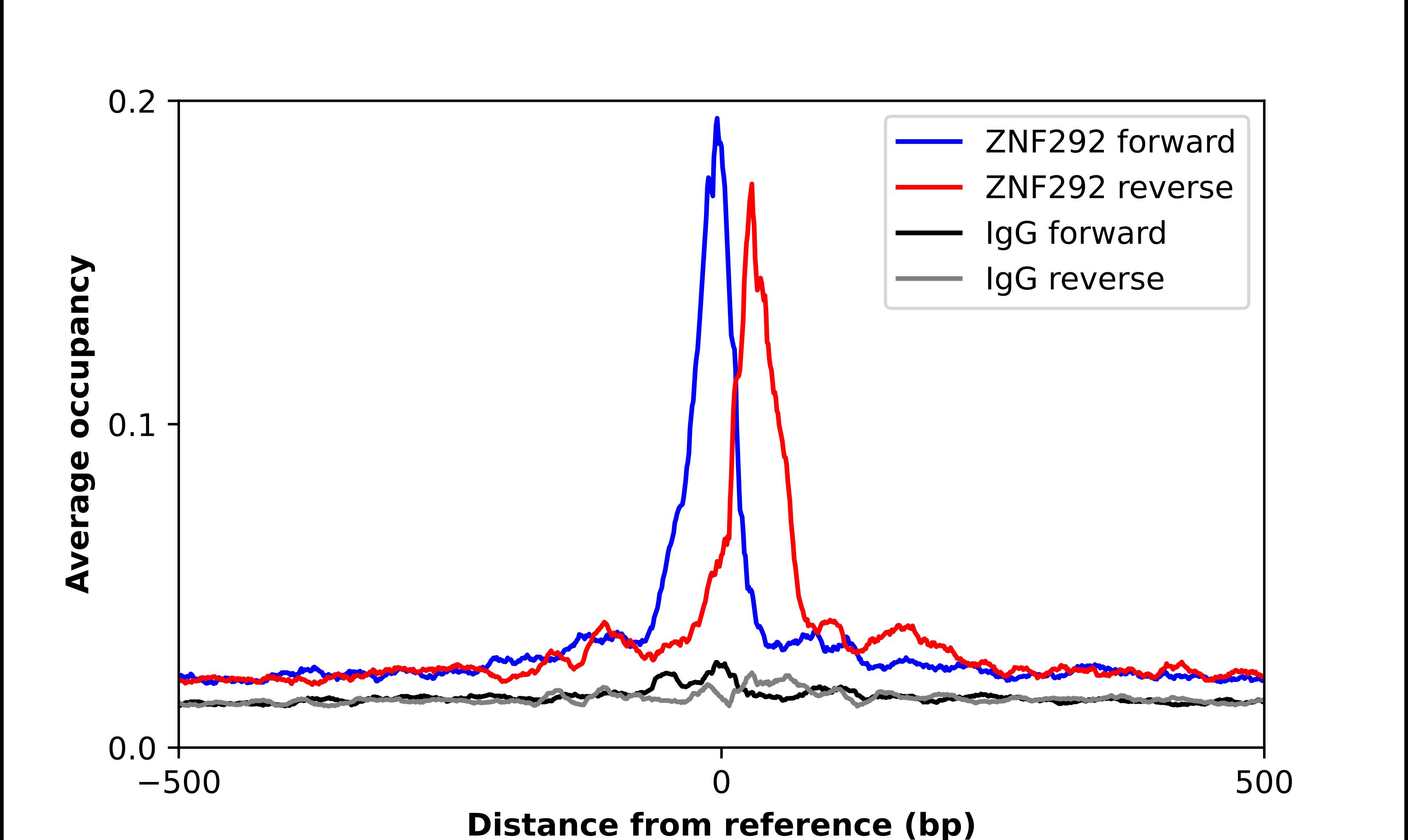ZNF292 Antibody - BSA Free Chromatin Immunoprecipitation ChIP: ZNF292 Antibody - BSA Free