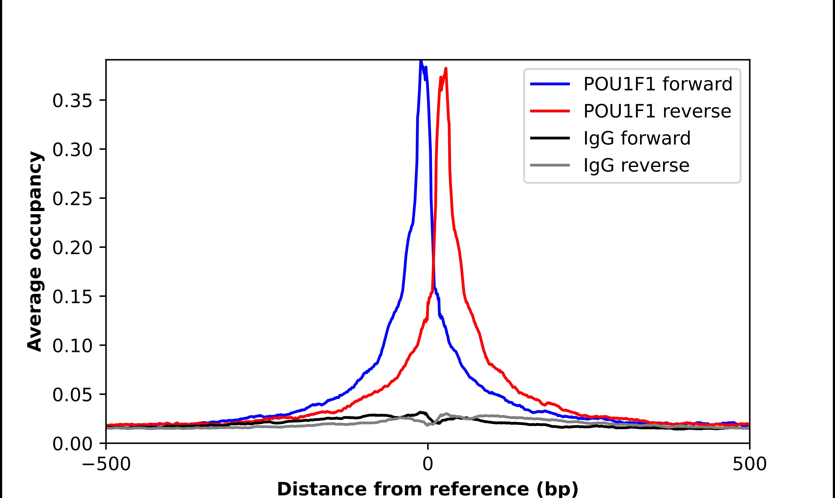 Pit1 Antibody - BSA Free Chromatin Immunoprecipitation ChIP: Pit1 Antibody - BSA Free