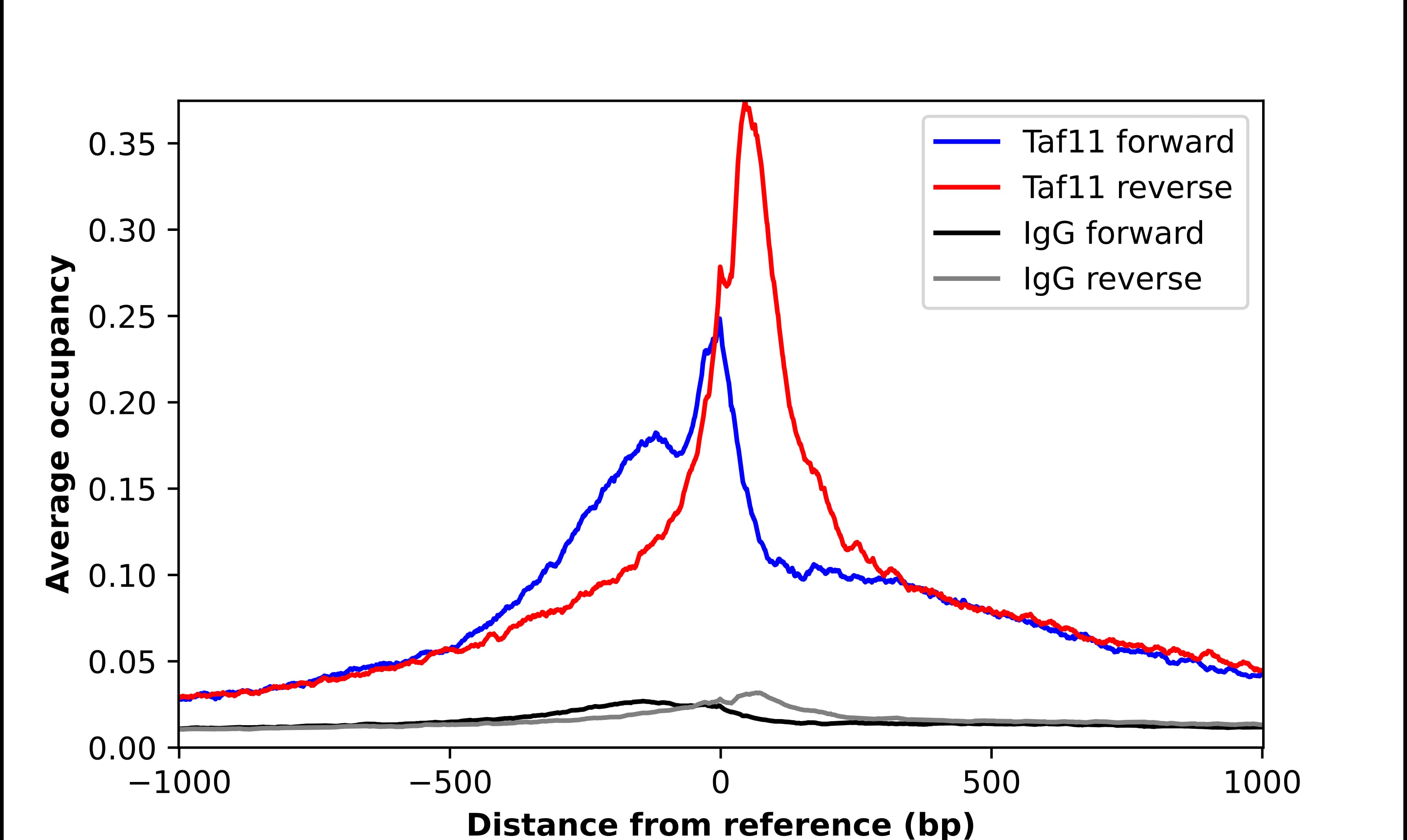 TAF11 Antibody - BSA Free Chromatin Immunoprecipitation-exo-Seq: TAF11 Antibody - BSA Free [NBP2-55367]