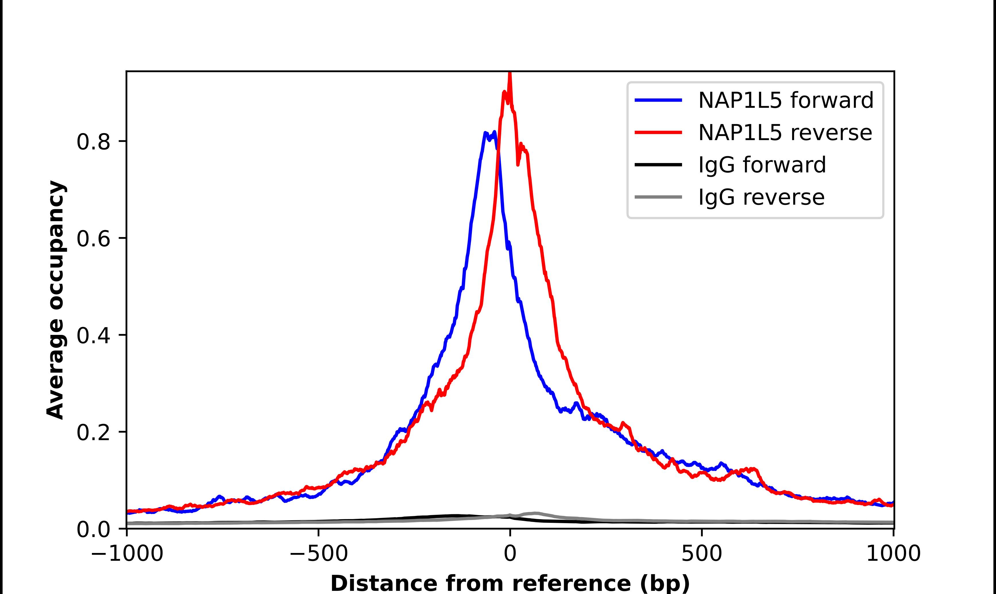 NAP1L5 Antibody - BSA Free Chromatin Immunoprecipitation-exo-Seq: NAP1L5 Antibody - BSA Free [NBP2-55379]