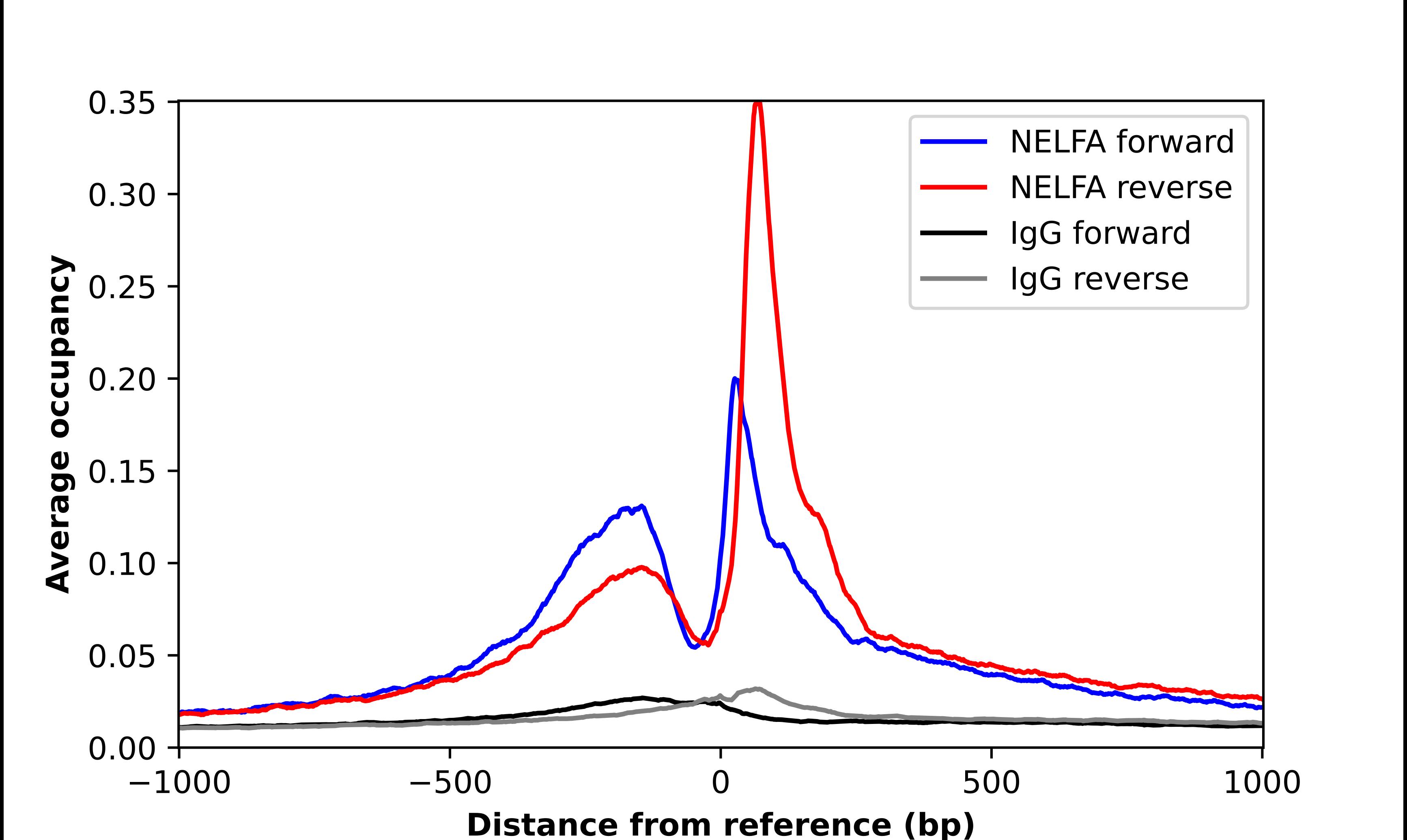 WHSC2 Antibody - BSA Free Chromatin Immunoprecipitation-exo-Seq: WHSC2 Antibody - BSA Free [NBP2-55447]