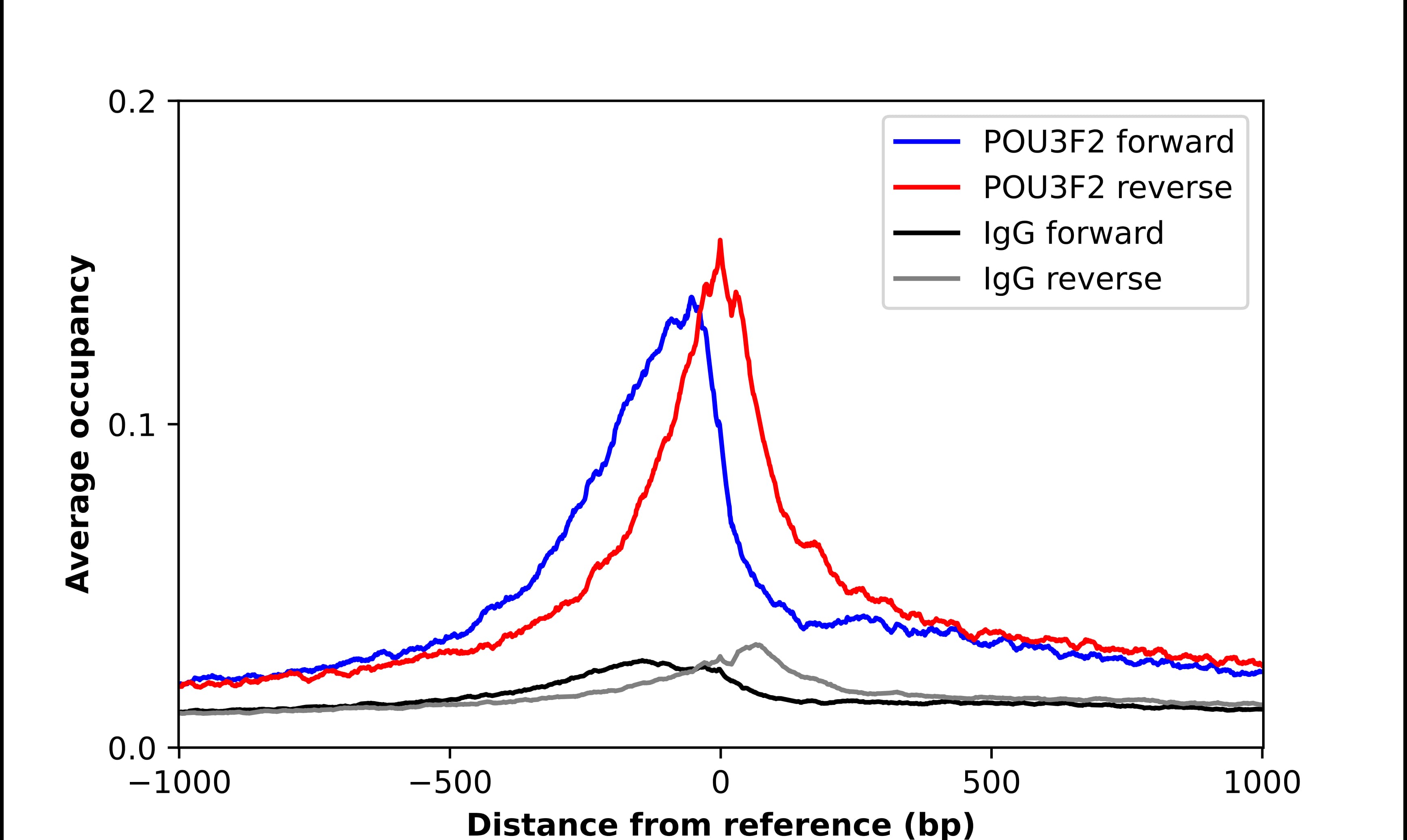 POU3F2/OCT7 Antibody - BSA Free Chromatin Immunoprecipitation-exo-Seq: POU3F2/OCT7 Antibody - BSA Free [NBP2-55453]