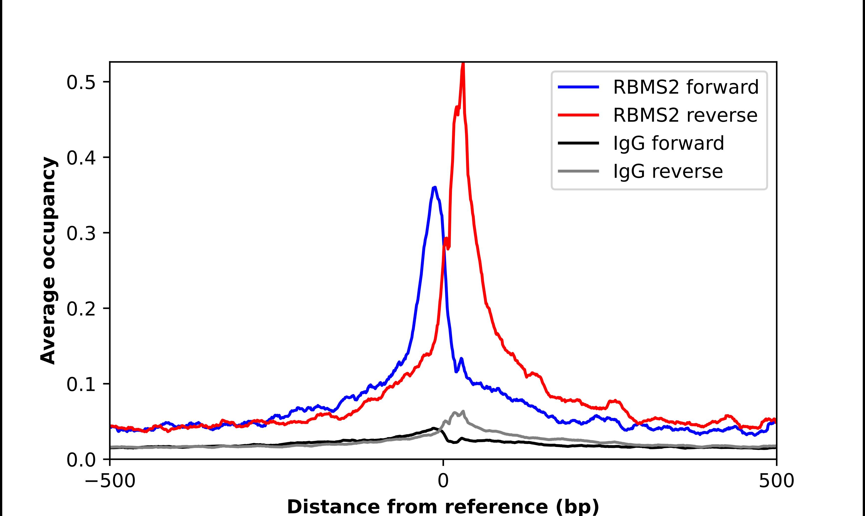 RBMS2 Antibody - BSA Free Chromatin Immunoprecipitation-exo-Seq: RBMS2 Antibody - BSA Free [NBP2-55471]