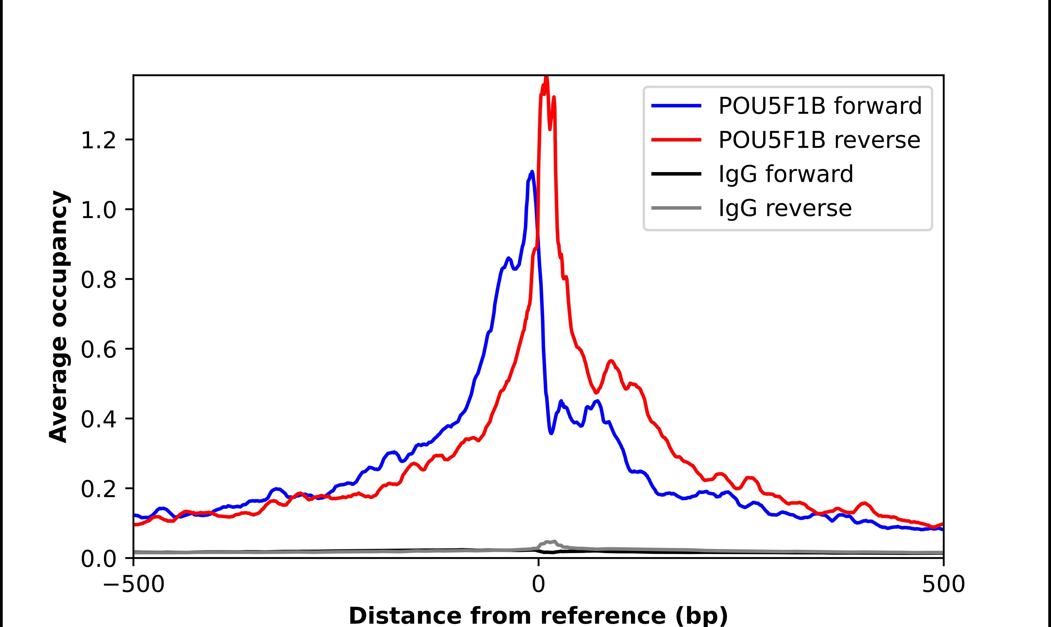 POU5F1P1 Antibody - BSA Free Chromatin Immunoprecipitation ChIP: POU5F1P1 Antibody - BSA Free