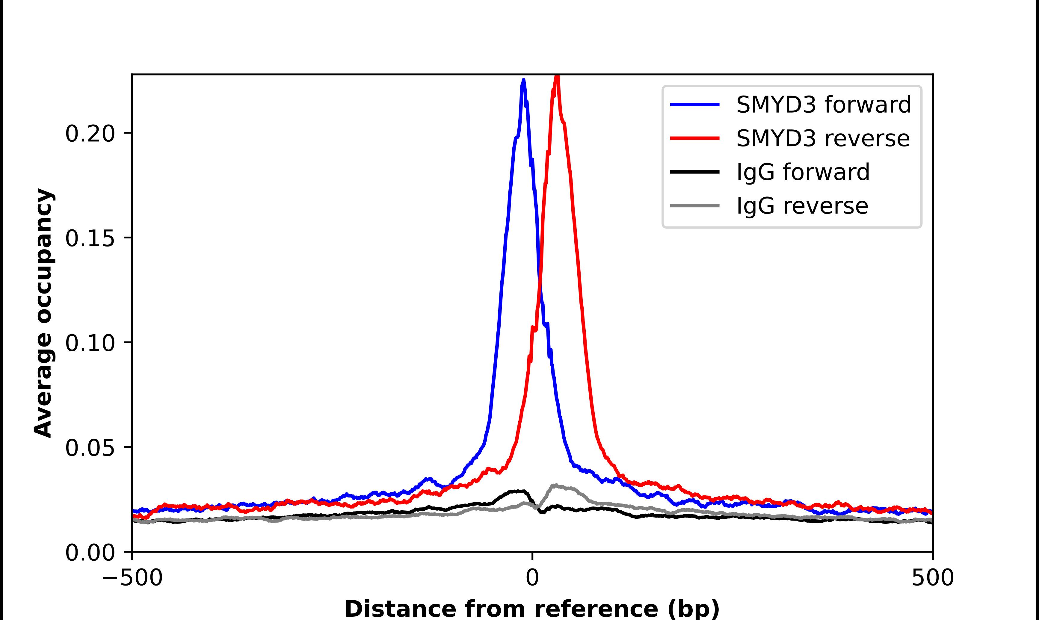 SMYD3 Antibody - BSA Free Chromatin Immunoprecipitation-exo-Seq: SMYD3 Antibody - BSA Free [NBP2-55477]