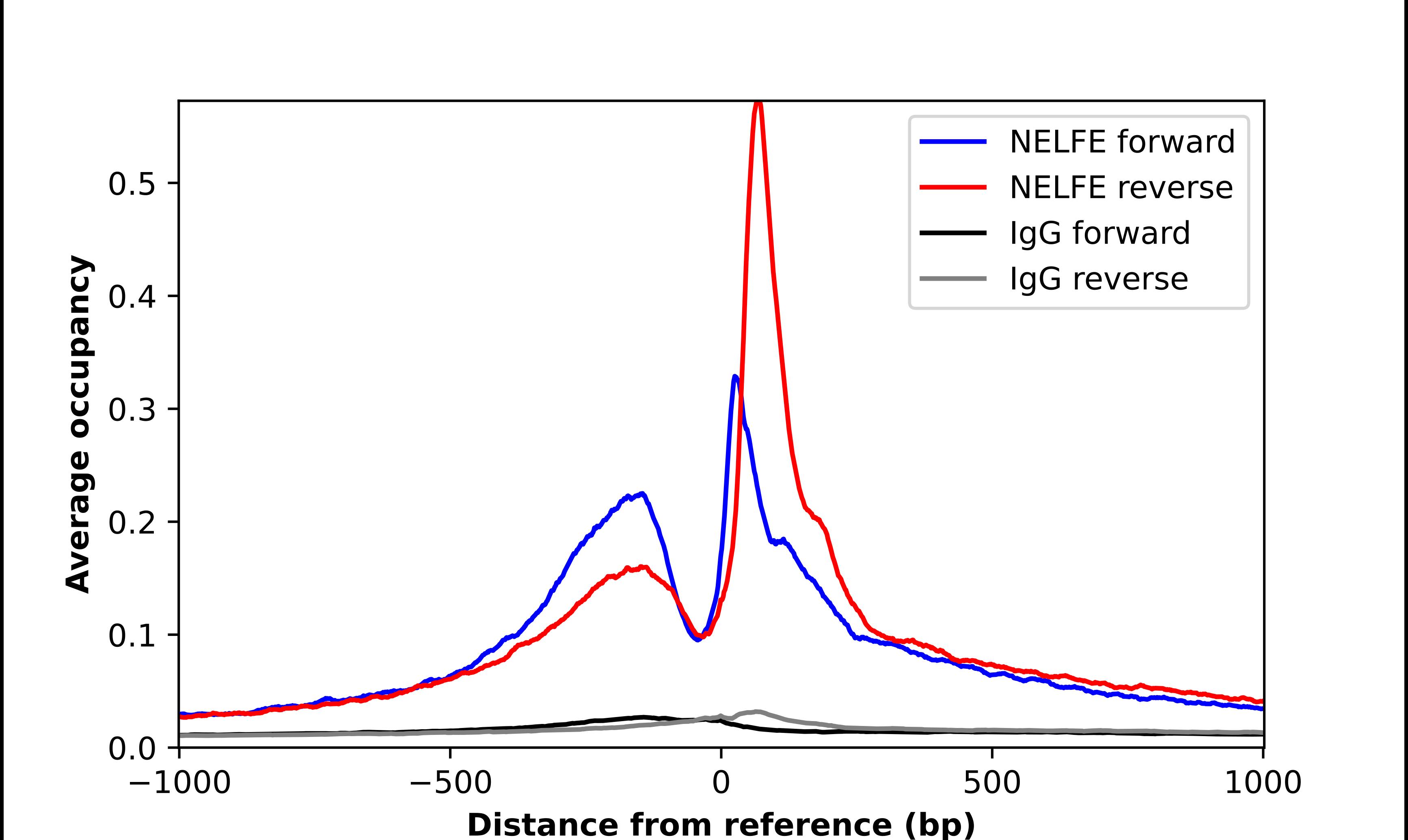 NELF-E Antibody - BSA Free Chromatin Immunoprecipitation-exo-Seq: NELF-E Antibody - BSA Free [NBP2-55487]