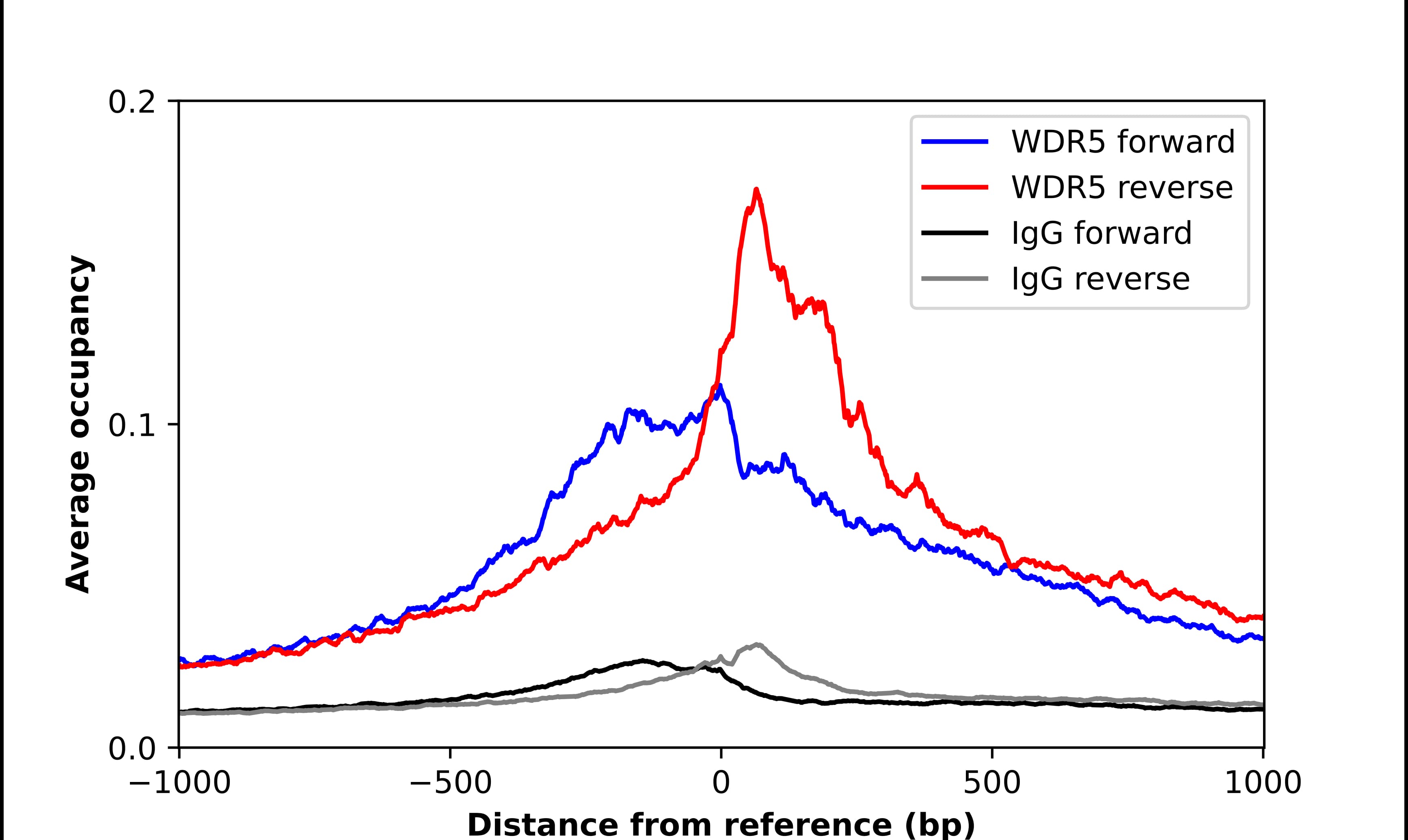 WDR5 Antibody - BSA Free Chromatin Immunoprecipitation-exo-Seq: WDR5 Antibody - BSA Free [NBP2-55518]