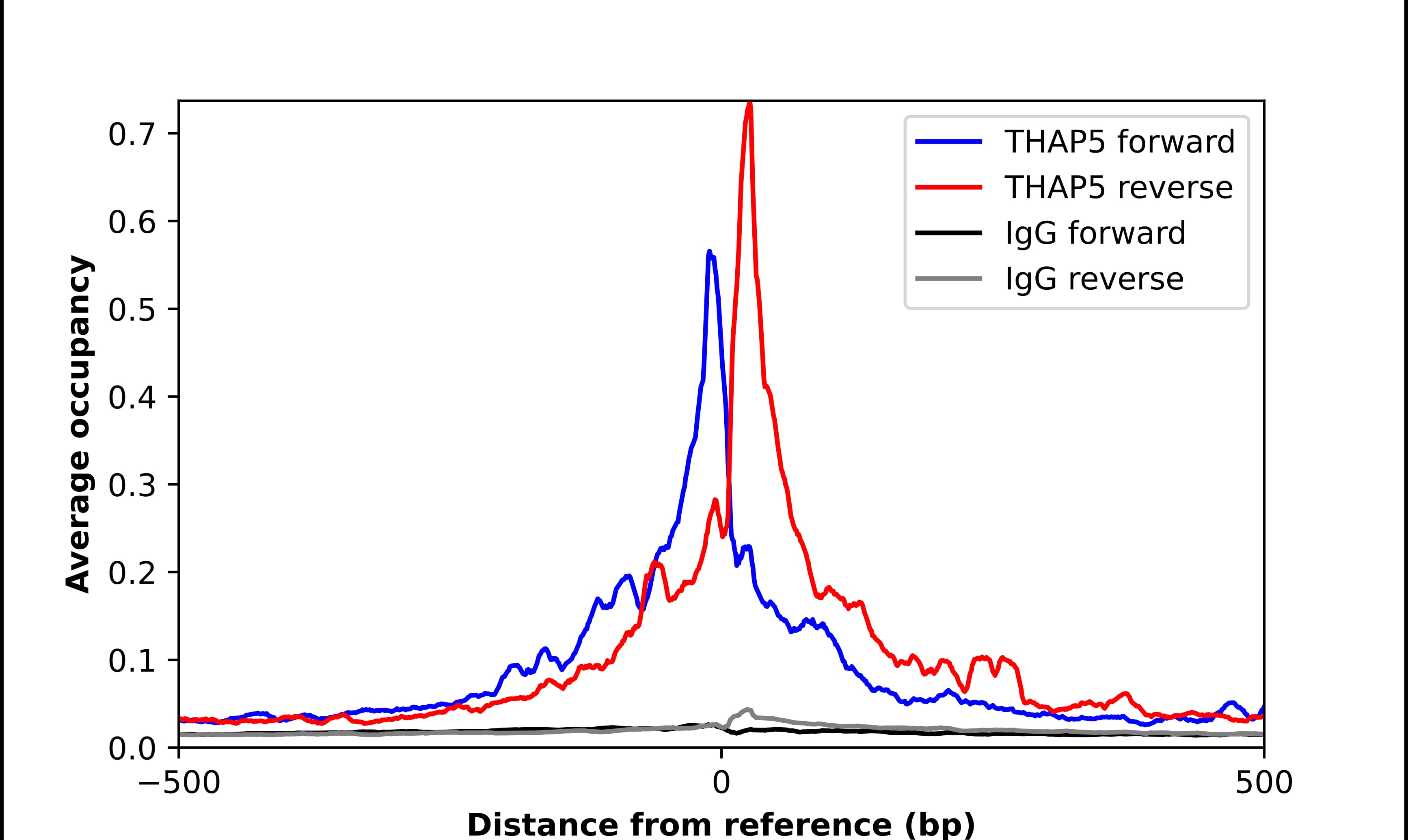 THAP5 Antibody - BSA Free Chromatin Immunoprecipitation-exo-Seq: THAP5 Antibody - BSA Free [NBP2-55522]