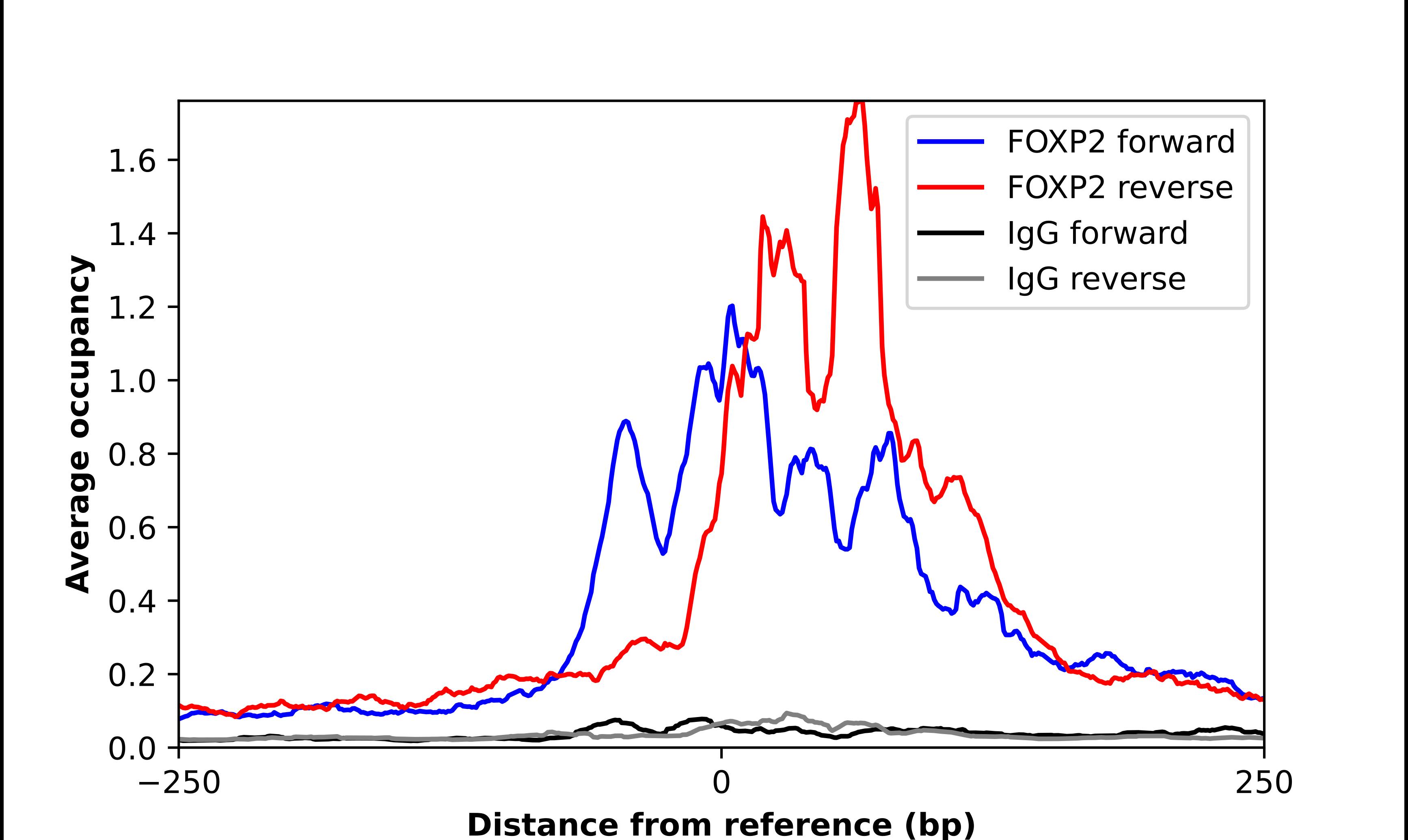 FoxP2 Antibody - BSA Free Chromatin Immunoprecipitation-exo-Seq: FoxP2 Antibody - BSA Free [NBP2-55618]