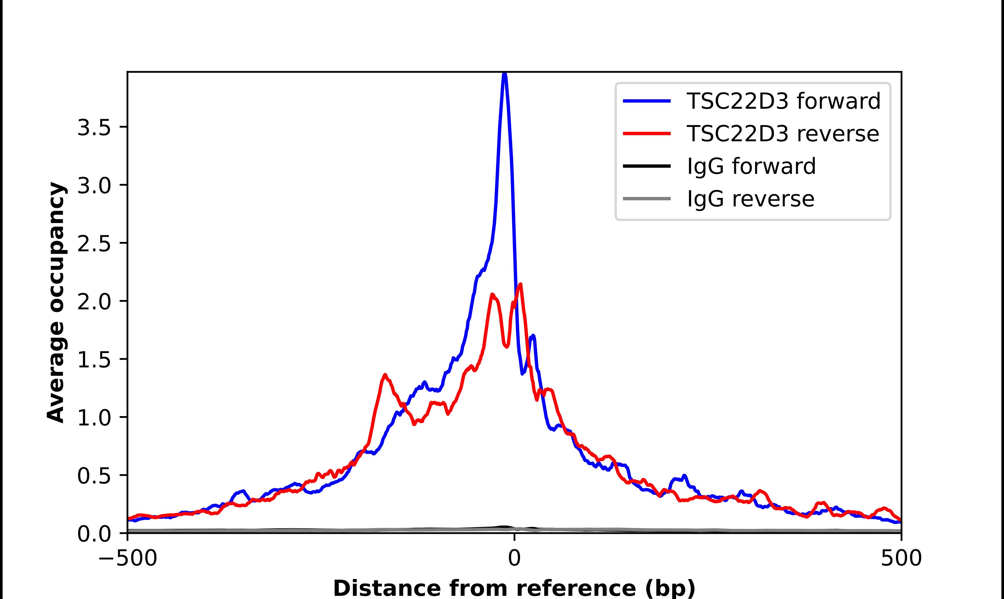 GilZ Antibody - BSA Free Chromatin Immunoprecipitation-exo-Seq: GilZ Antibody - BSA Free [NBP2-55645]