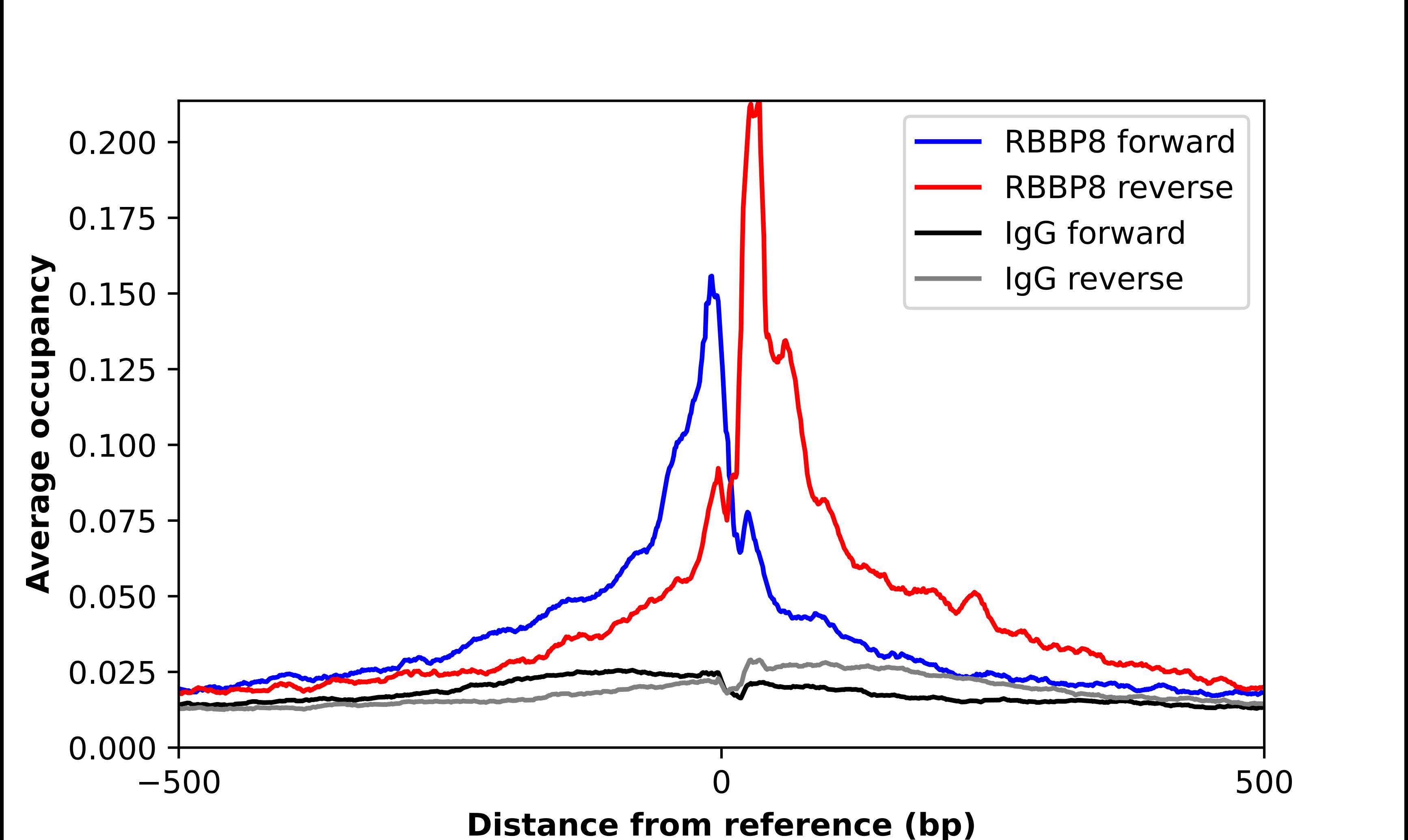 CtIP Antibody - BSA Free Chromatin Immunoprecipitation ChIP: CtIP Antibody - BSA Free