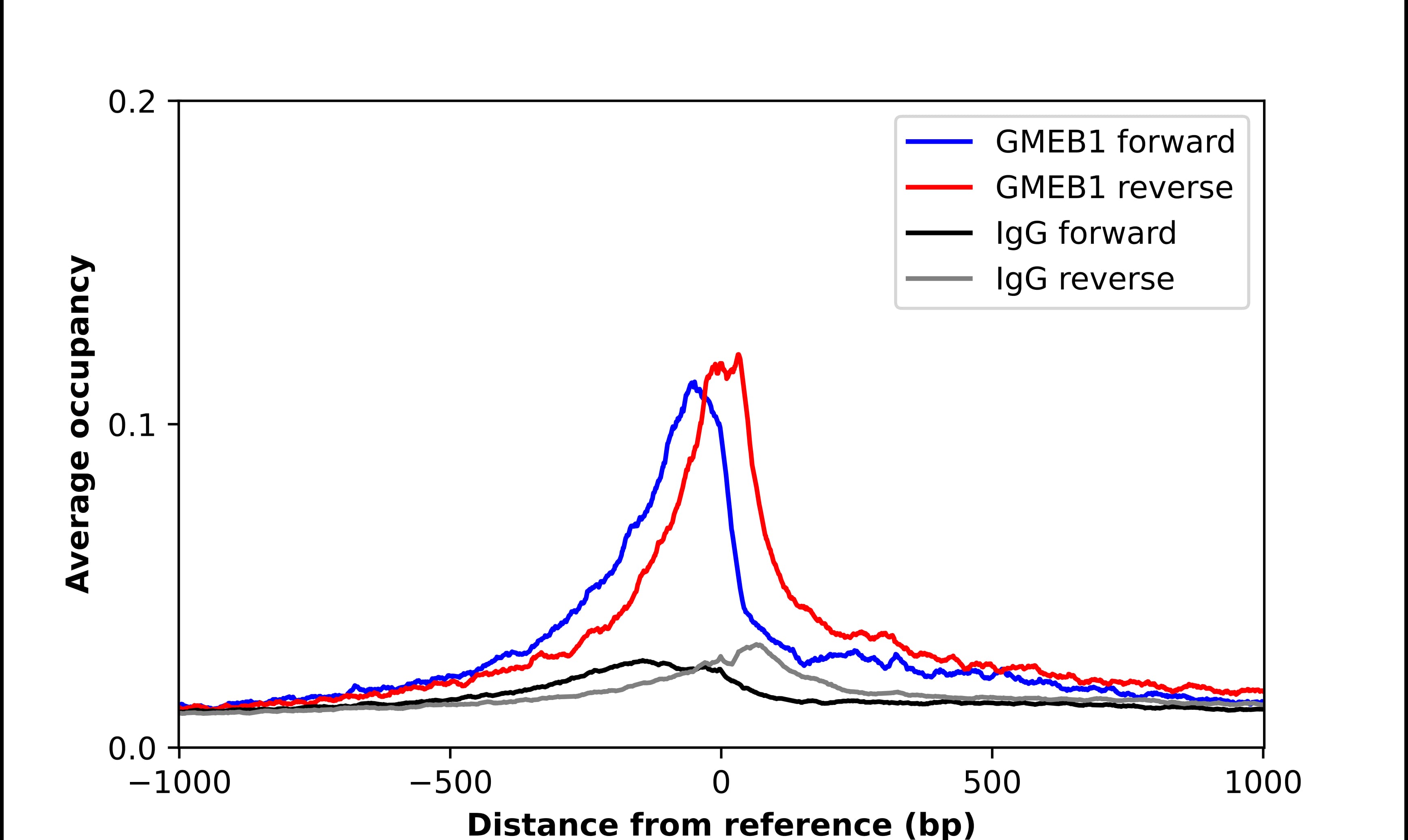 GMEB1 Antibody - BSA Free Chromatin Immunoprecipitation-exo-Seq: GMEB1 Antibody - BSA Free [NBP2-55657]
