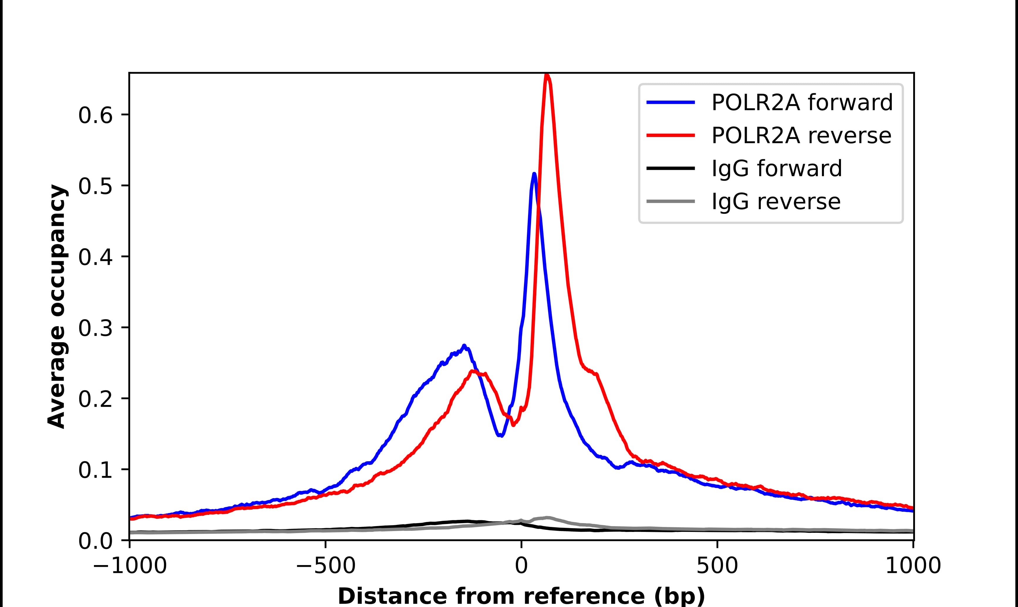 RNA Polymerase II/POLR2A Antibody - BSA Free Chromatin Immunoprecipitation-exo-Seq: RNA Polymerase II/POLR2A Antibody - BSA Free [NBP2-55663]
