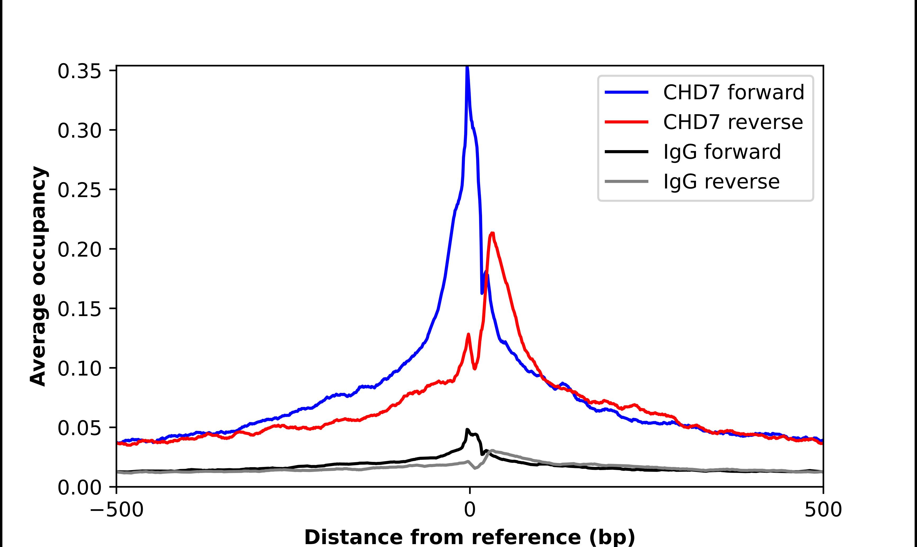 CHD7 Antibody - BSA Free Chromatin Immunoprecipitation-exo-Seq: CHD7 Antibody - BSA Free [NBP2-55672]