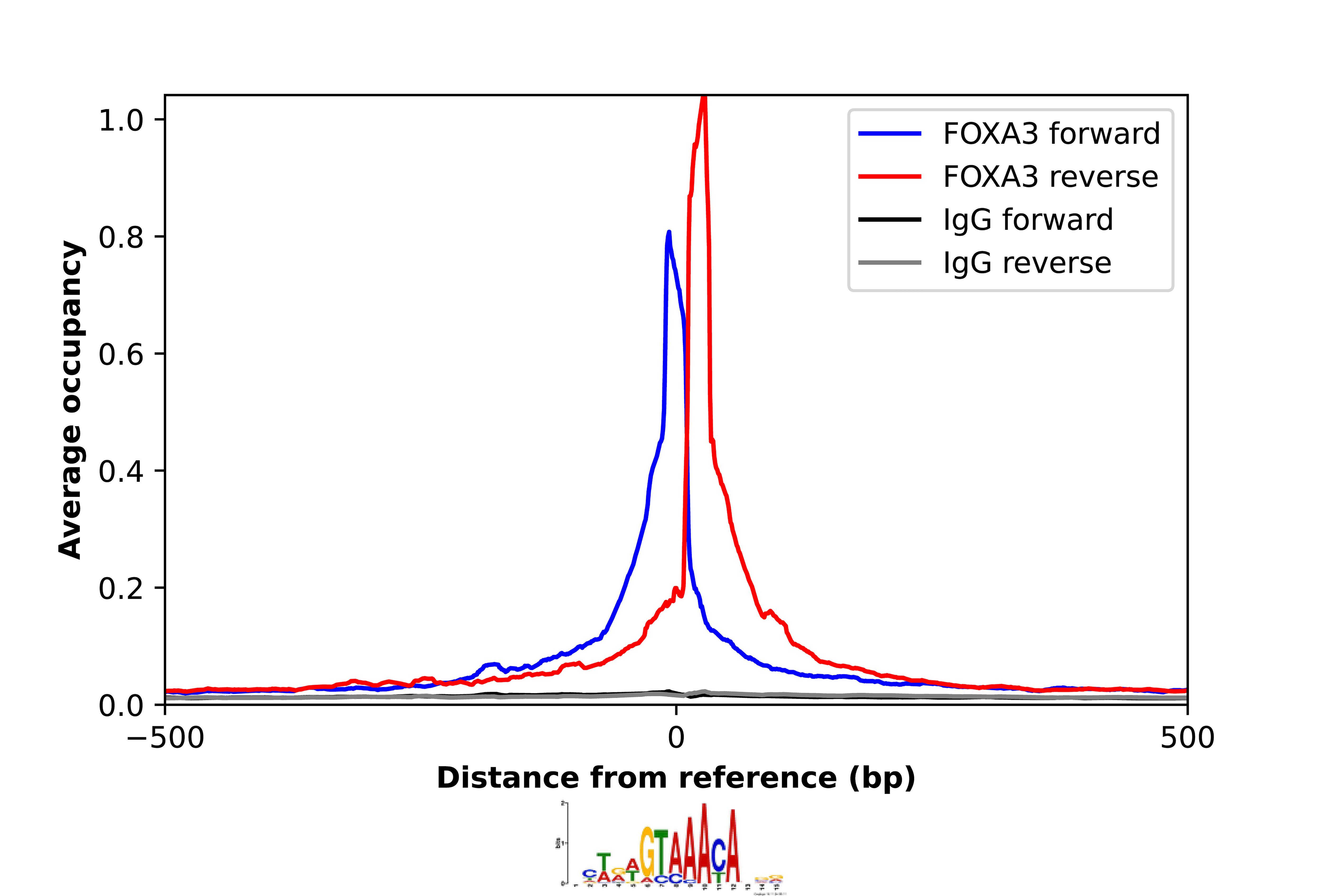 FOXA3 Antibody - BSA Free Chromatin Immunoprecipitation-exo-Seq: FOXA3 Antibody - BSA Free [NBP2-55686]