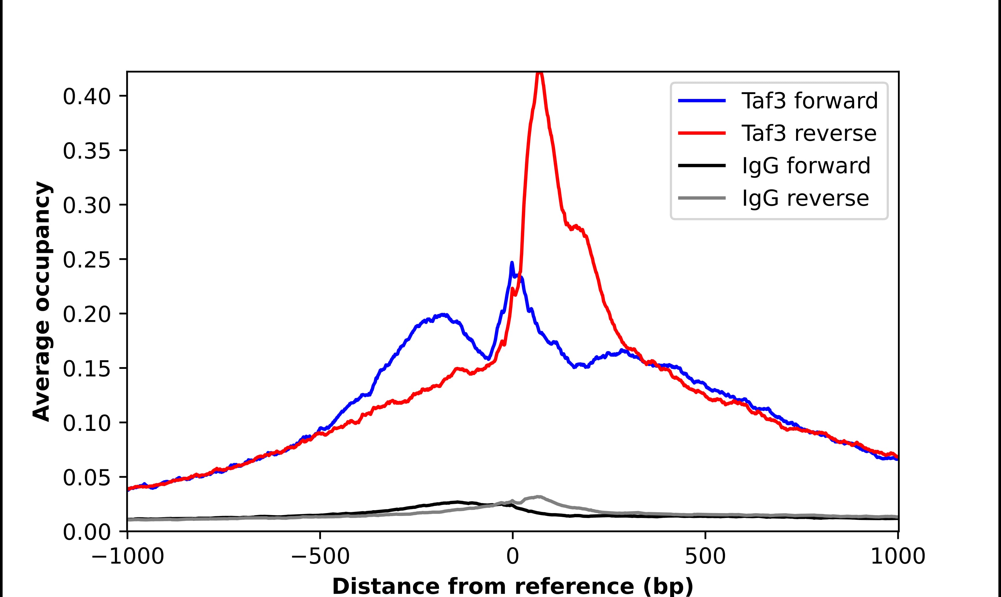 TAF3 Antibody - BSA Free Chromatin Immunoprecipitation-exo-Seq: TAF3 Antibody - BSA Free [NBP2-55698]