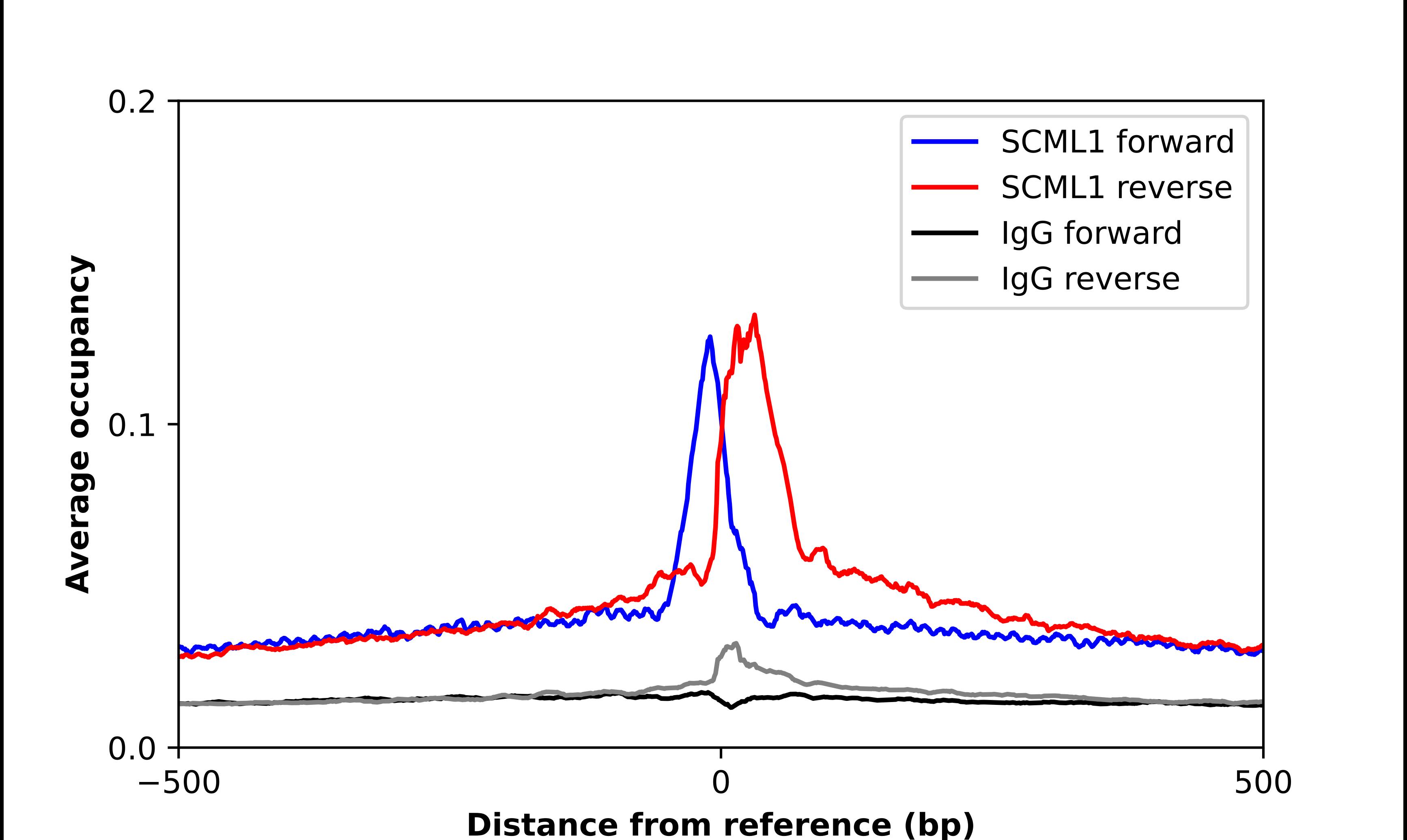 SCML1 Antibody - BSA Free Chromatin Immunoprecipitation-exo-Seq: SCML1 Antibody - BSA Free [NBP2-55711]