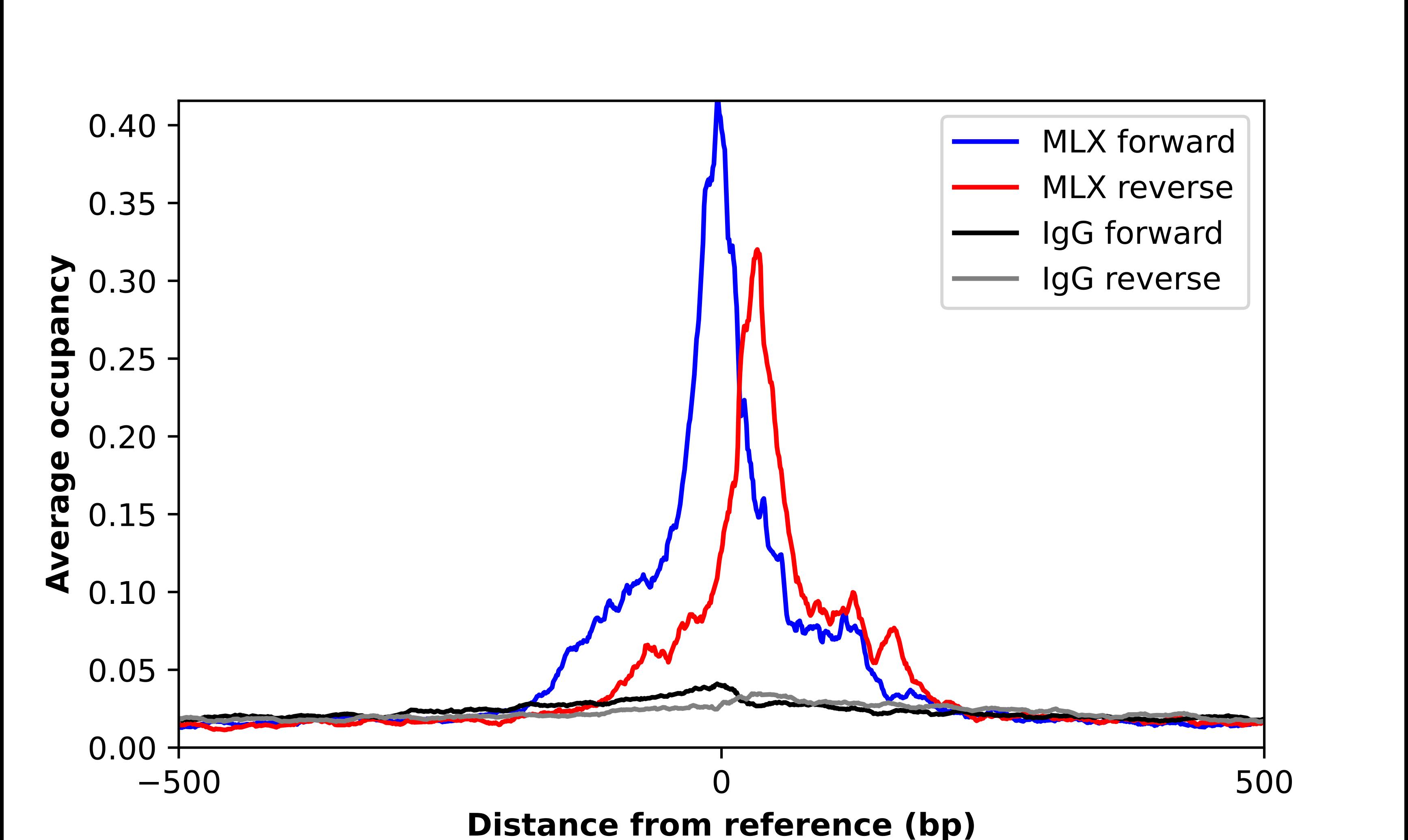 MLX Antibody - BSA Free Chromatin Immunoprecipitation-exo-Seq: MLX Antibody - BSA Free [NBP2-55725]