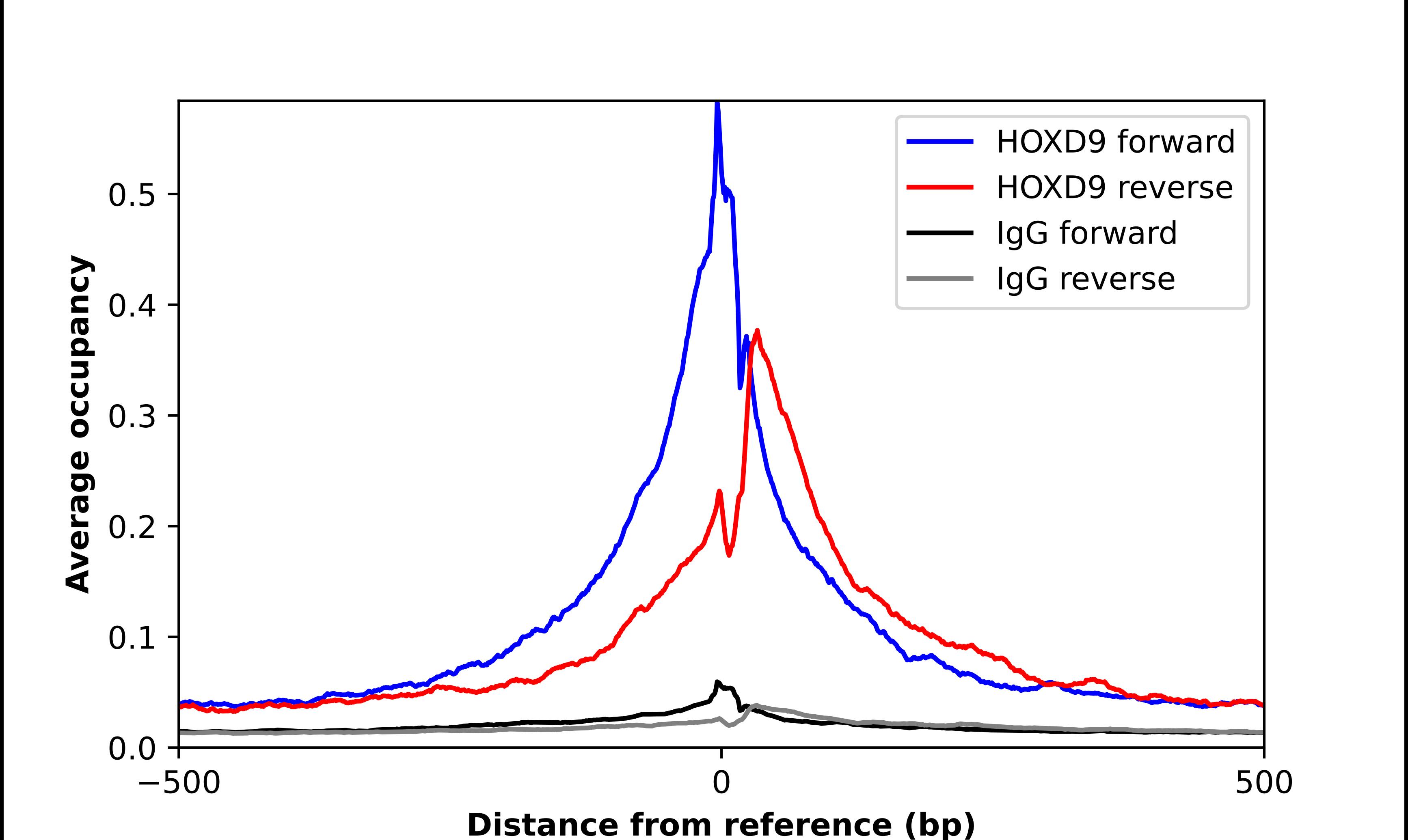 HOXD9 Antibody - BSA Free Chromatin Immunoprecipitation-exo-Seq: HOXD9 Antibody - BSA Free [NBP2-55738]