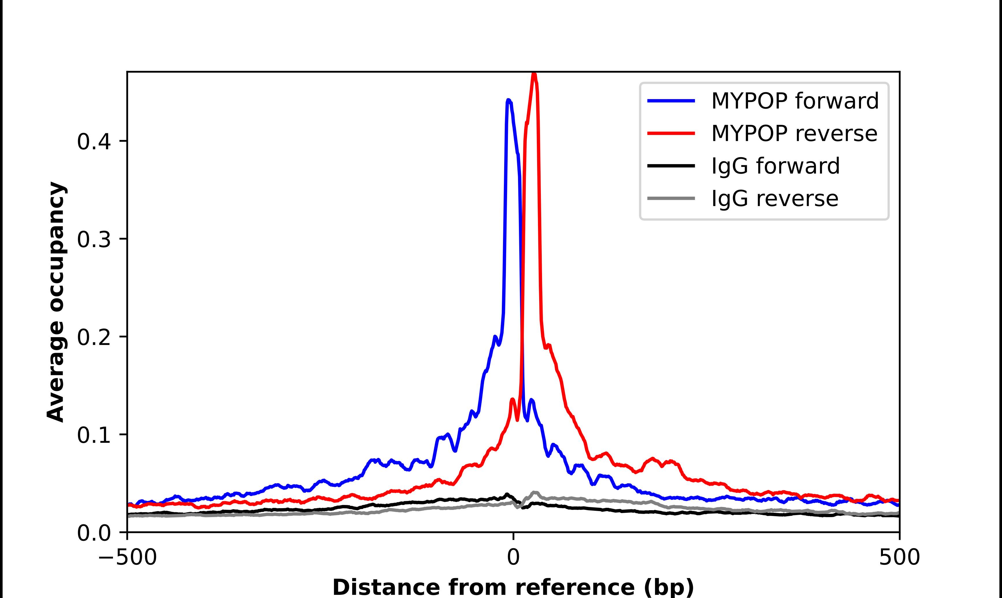 MYPOP Antibody - BSA Free Chromatin Immunoprecipitation ChIP: MYPOP Antibody - BSA Free