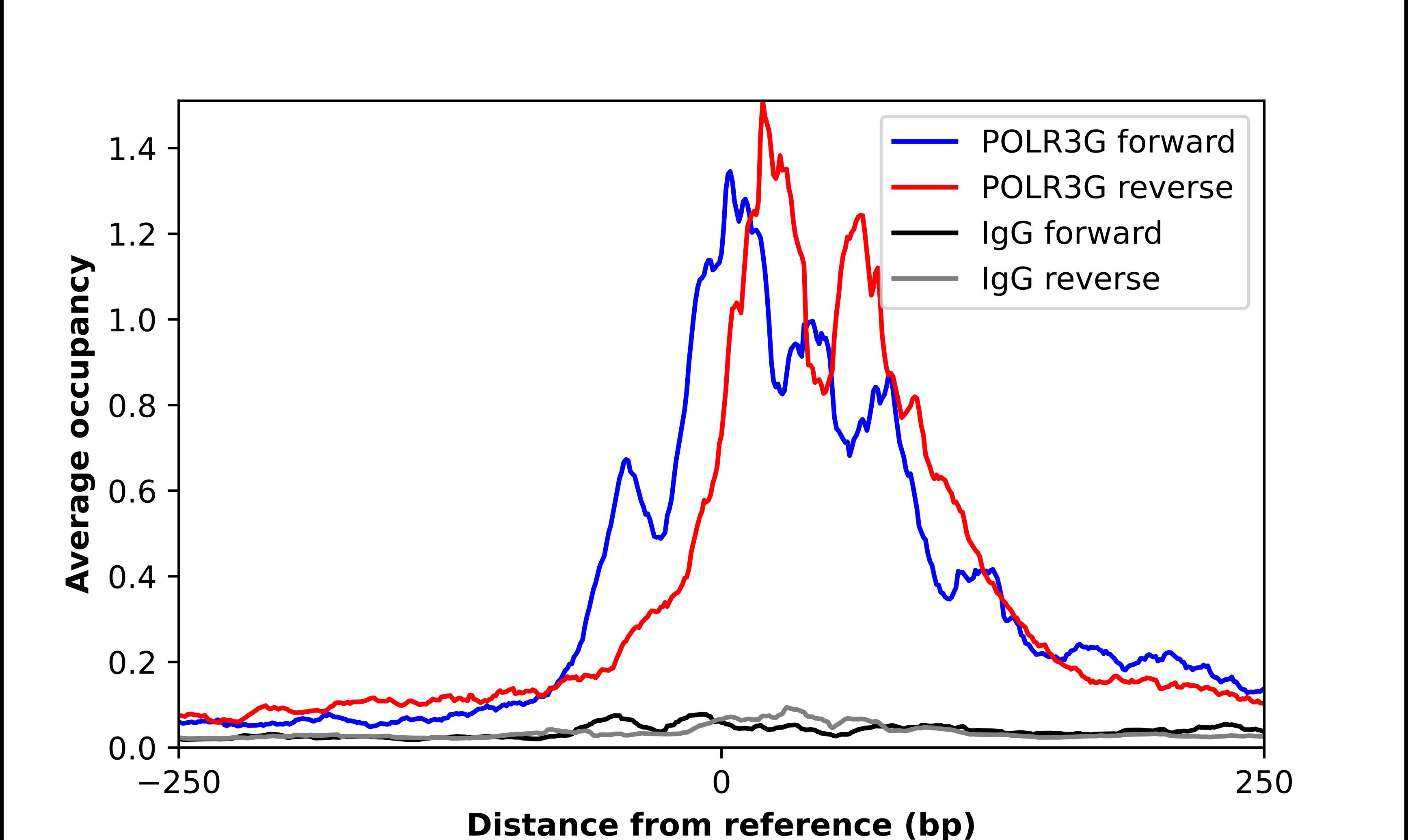 POLR3G Antibody - BSA Free Chromatin Immunoprecipitation-exo-Seq: POLR3G Antibody - BSA Free [NBP2-55778]