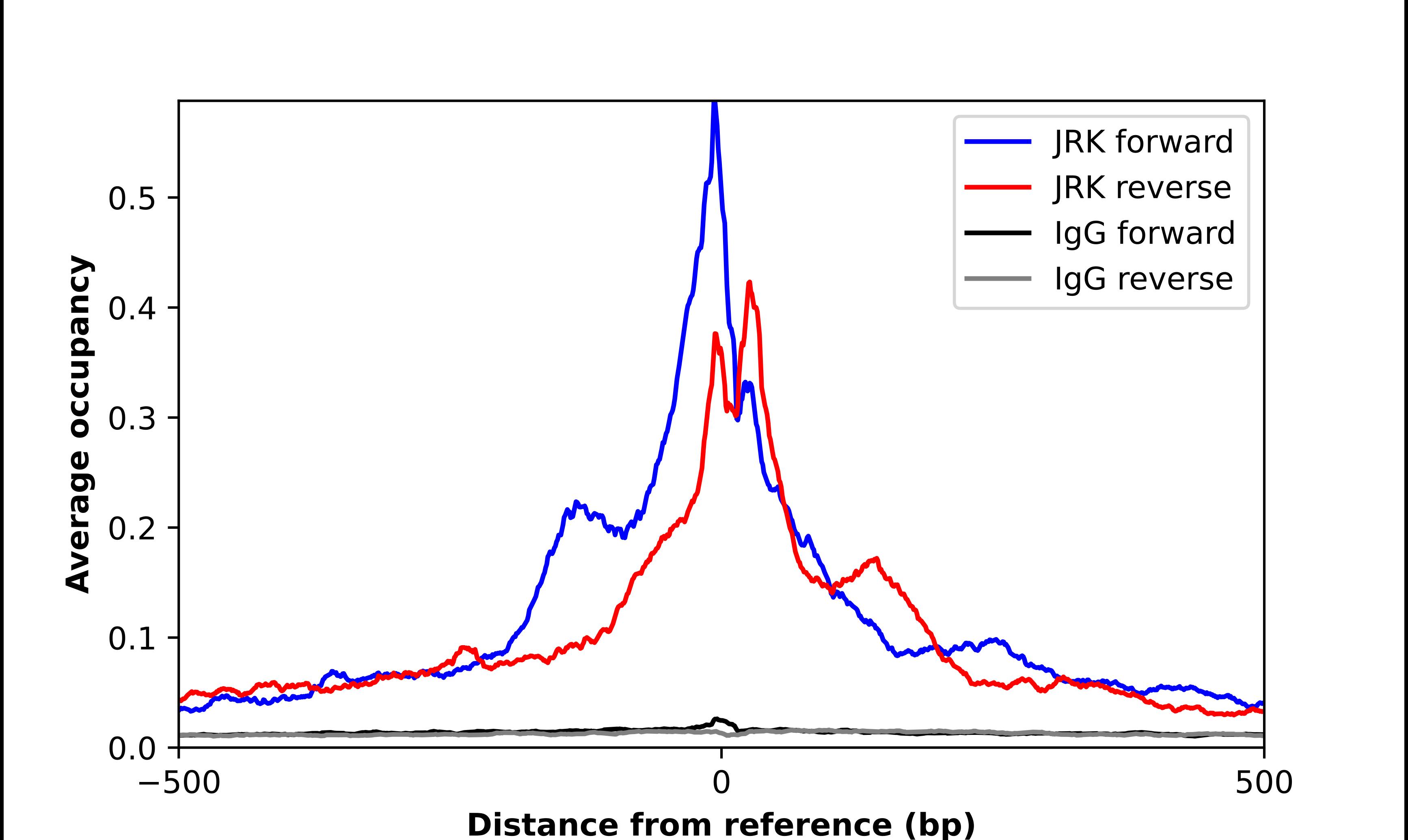 JRK Antibody - BSA Free Chromatin Immunoprecipitation ChIP: JRK Antibody - BSA Free