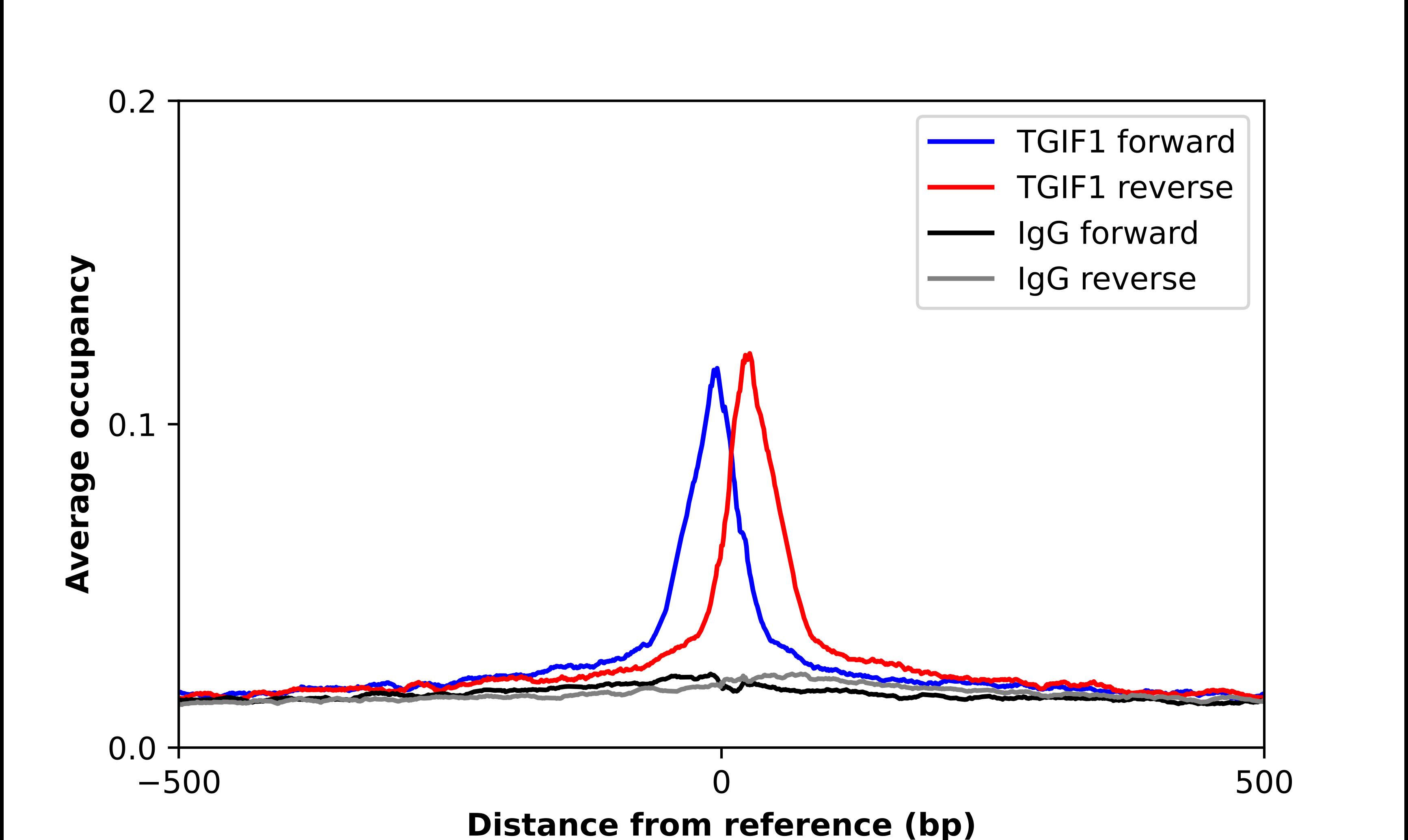 TGIF1 Antibody - BSA Free Chromatin Immunoprecipitation-exo-Seq: TGIF1 Antibody - BSA Free [NBP2-55829]