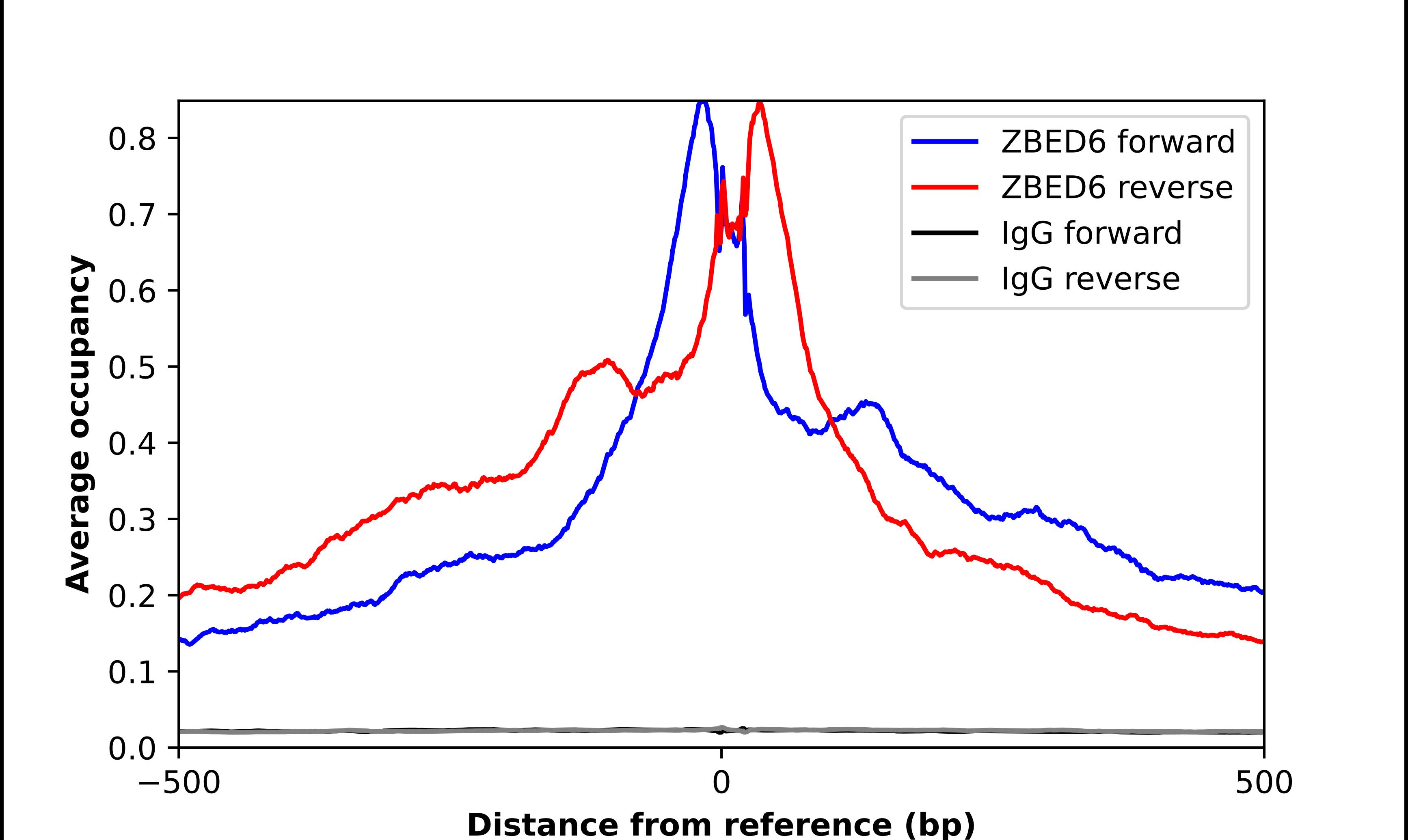 ZBED6 Antibody - BSA Free Chromatin Immunoprecipitation-exo-Seq: ZBED6 Antibody - BSA Free [NBP2-55869]