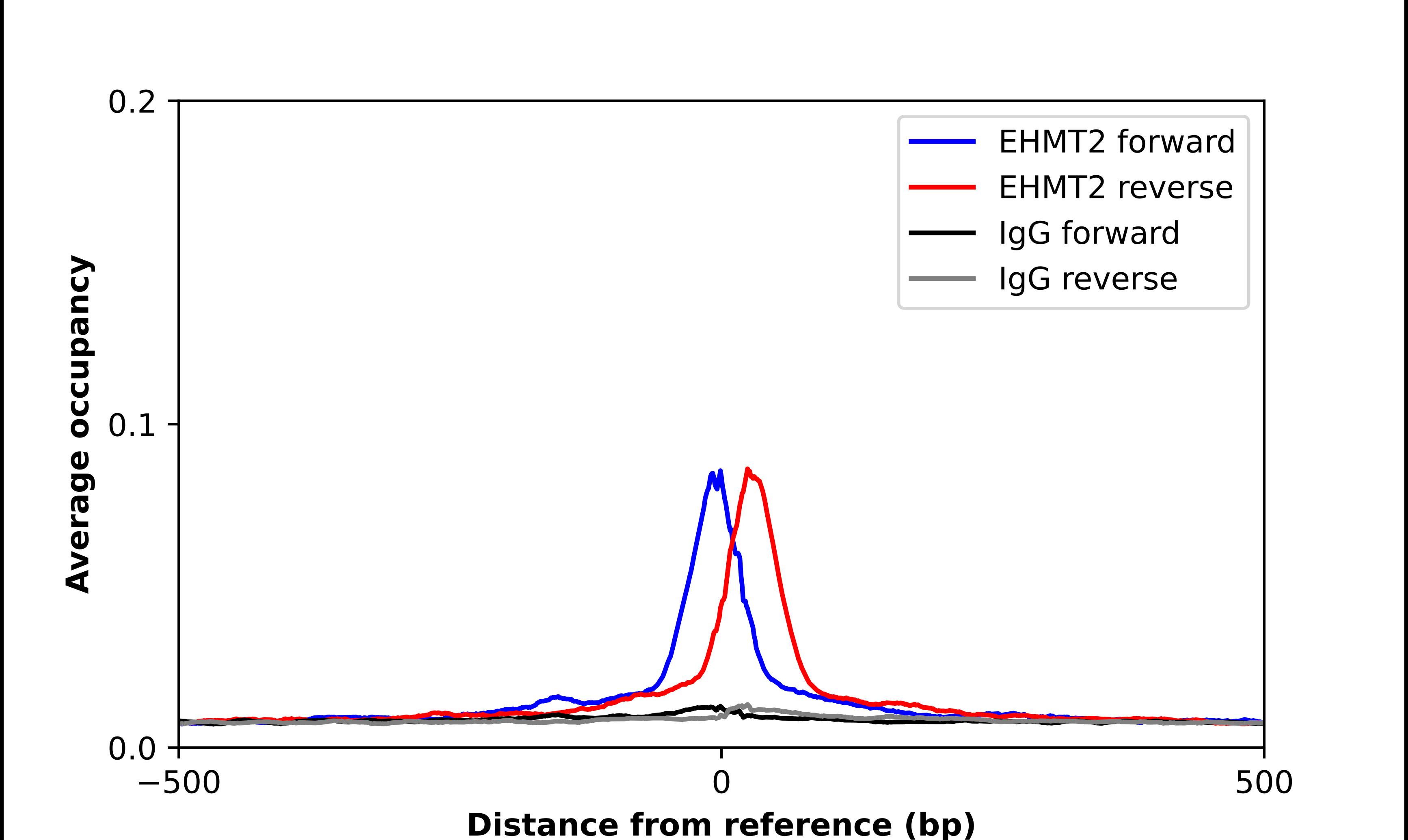 G9a/EHMT2 Antibody - BSA Free Chromatin Immunoprecipitation-exo-Seq: G9a/EHMT2 Antibody - BSA Free [NBP2-55881]