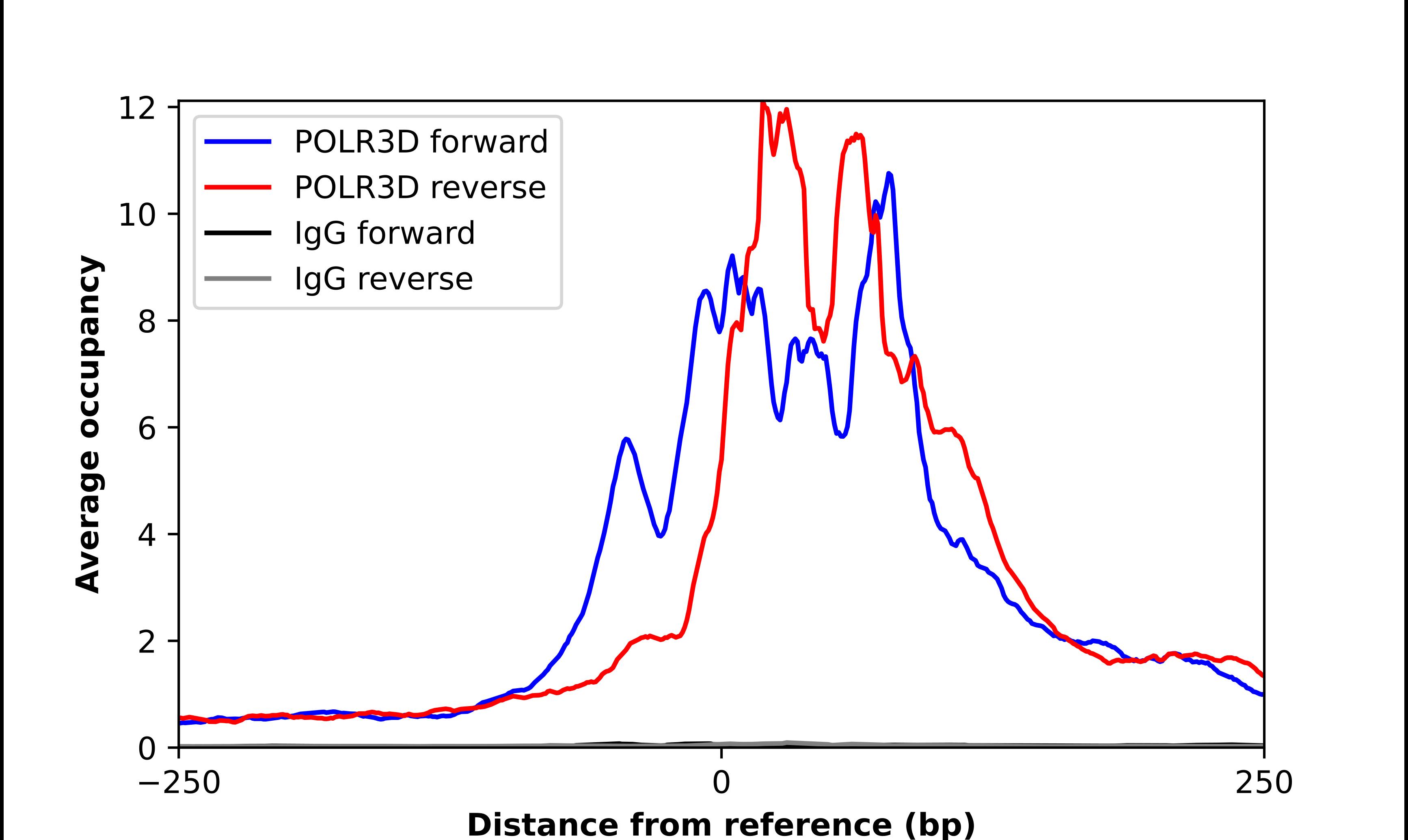 POLR3D Antibody - BSA Free Chromatin Immunoprecipitation-exo-Seq: POLR3D Antibody - BSA Free [NBP2-55887]