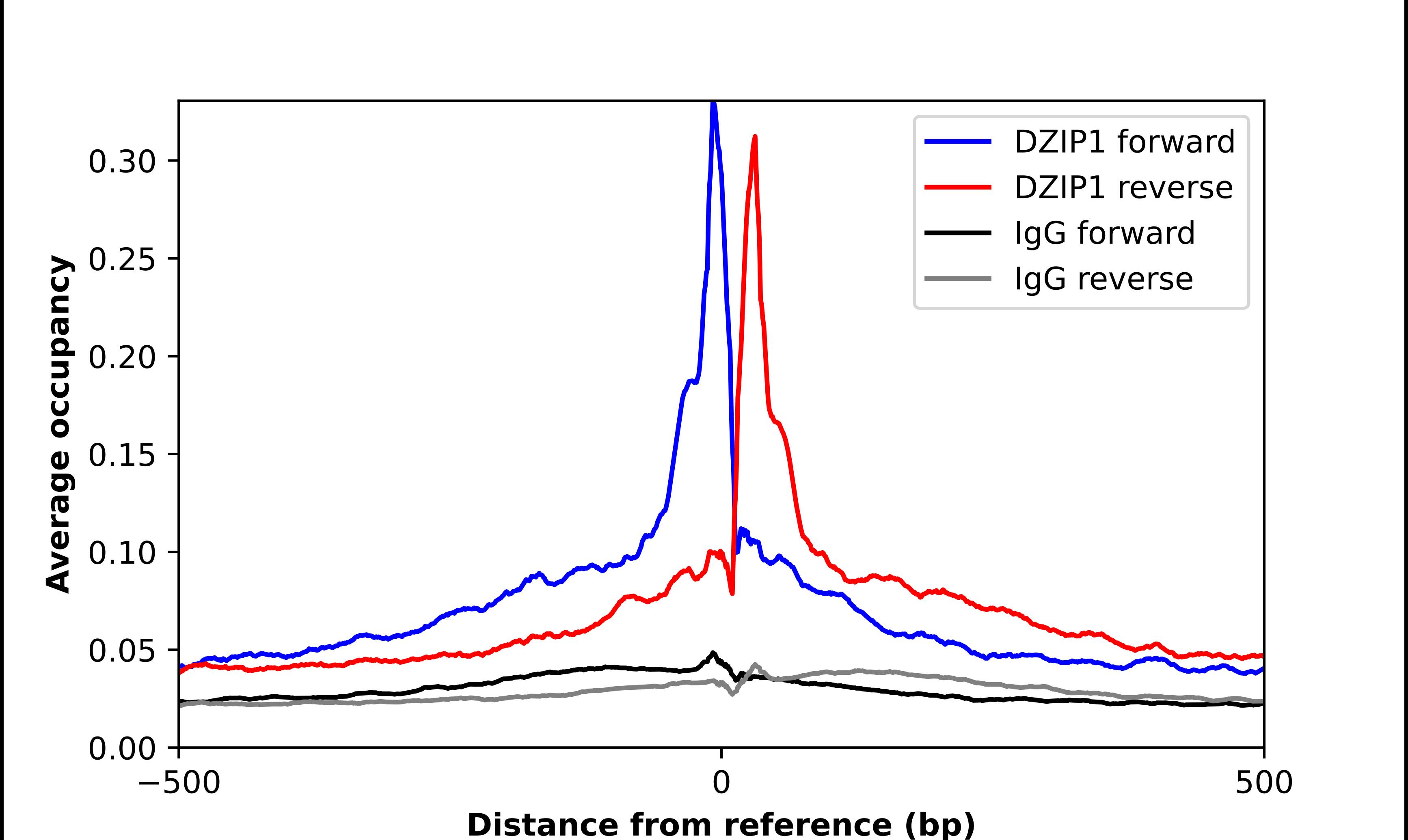 DZIP1 Antibody - BSA Free Chromatin Immunoprecipitation ChIP: DZIP1 Antibody - BSA Free