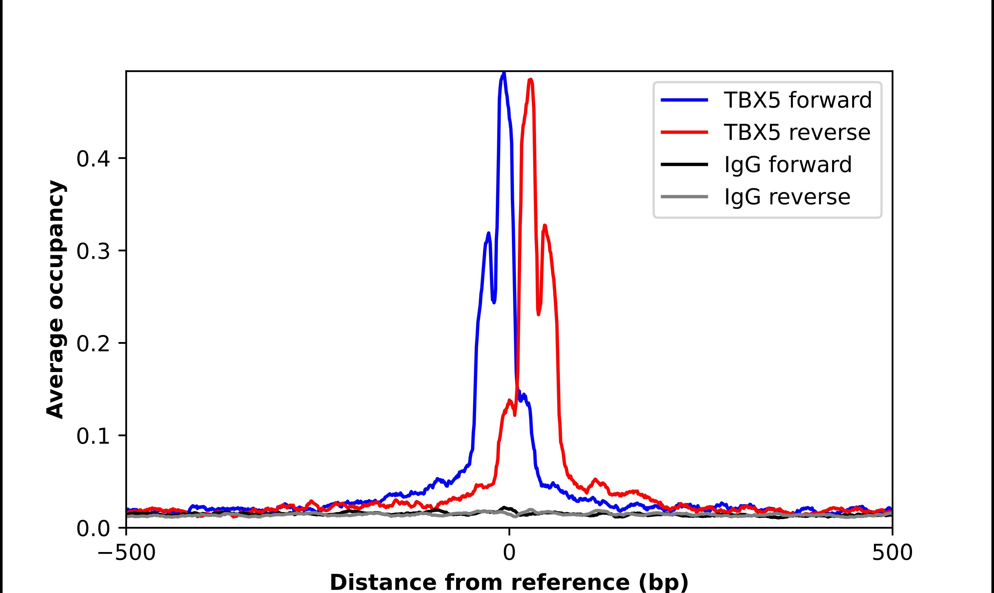 TBX5 Antibody - BSA Free Chromatin Immunoprecipitation-exo-Seq: TBX5 Antibody - BSA Free [NBP2-55931]