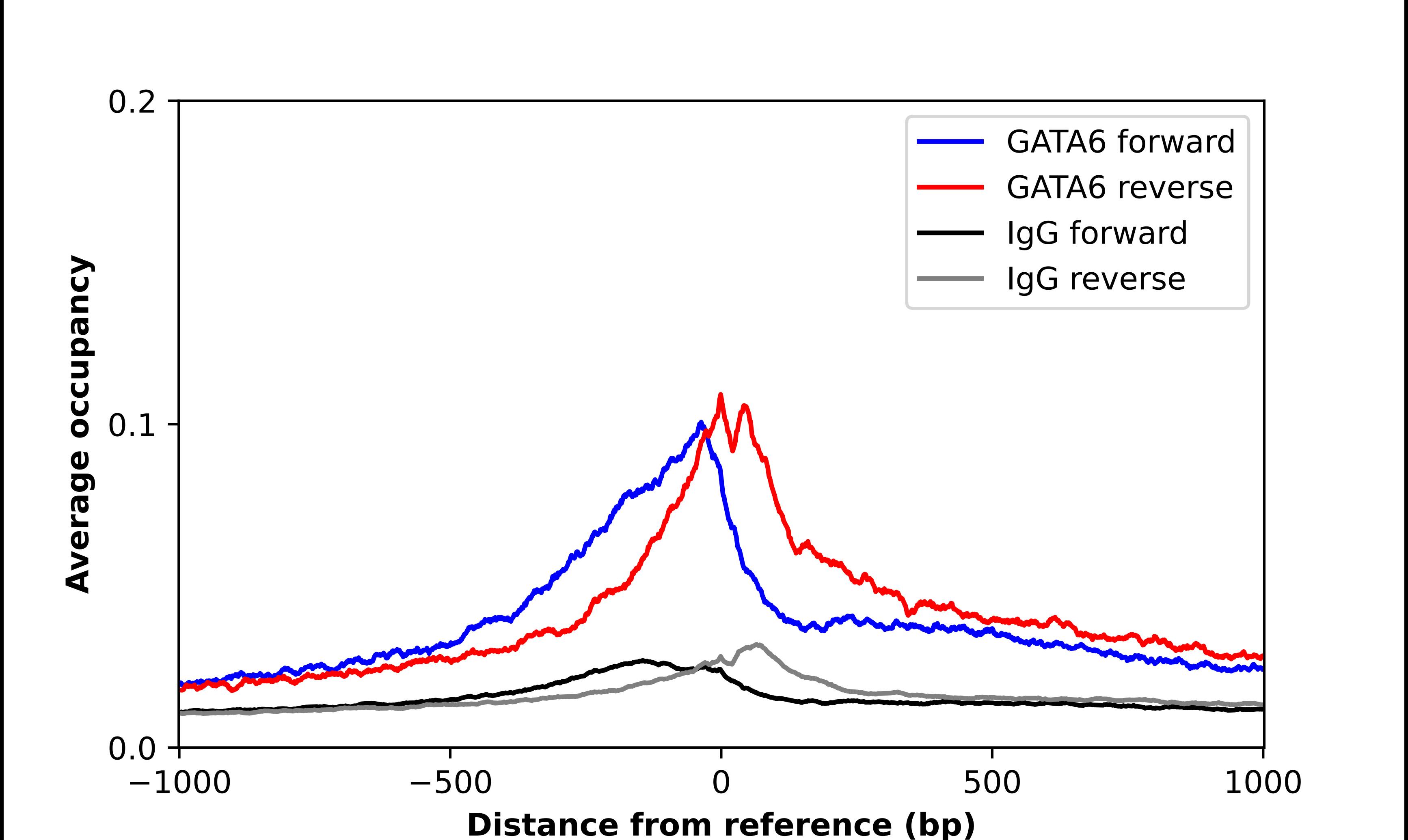 GATA-6 Antibody - BSA Free Chromatin Immunoprecipitation-exo-Seq: GATA-6 Antibody - BSA Free [NBP2-55937]