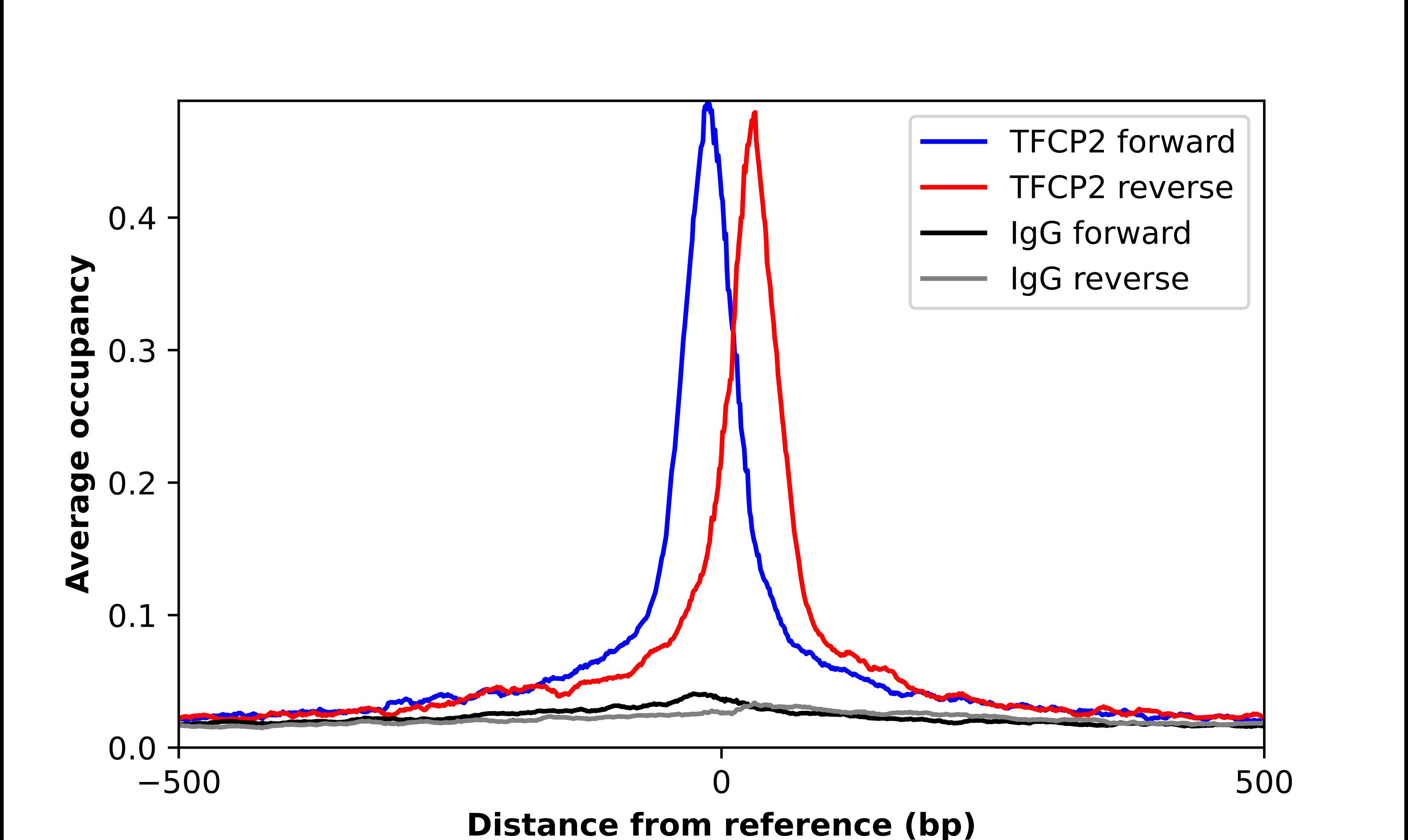 TFCP2 Antibody - BSA Free Chromatin Immunoprecipitation-exo-Seq: TFCP2 Antibody - BSA Free [NBP2-55972]