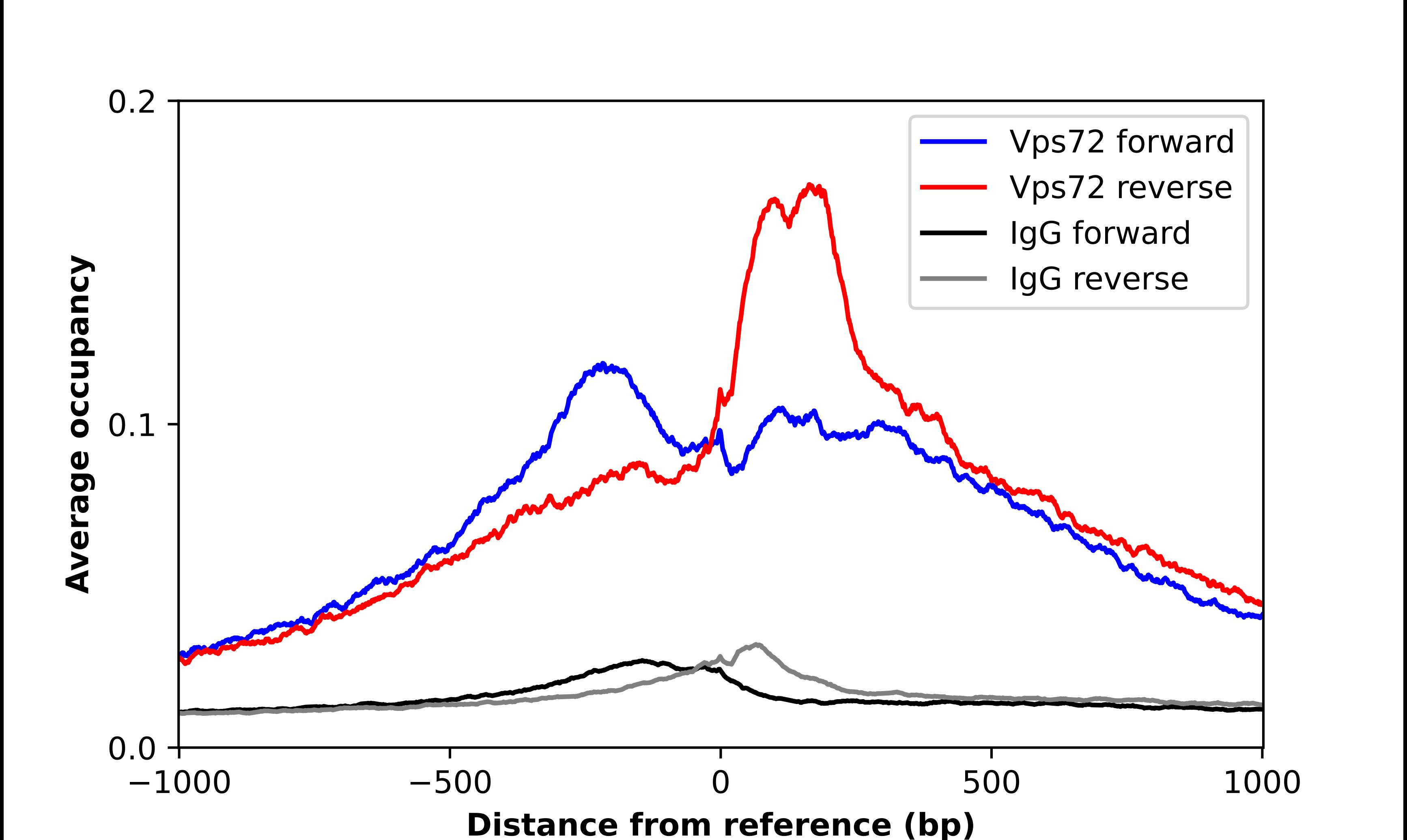 YL1 Antibody - BSA Free Chromatin Immunoprecipitation-exo-Seq: YL1 Antibody - BSA Free [NBP2-56002]