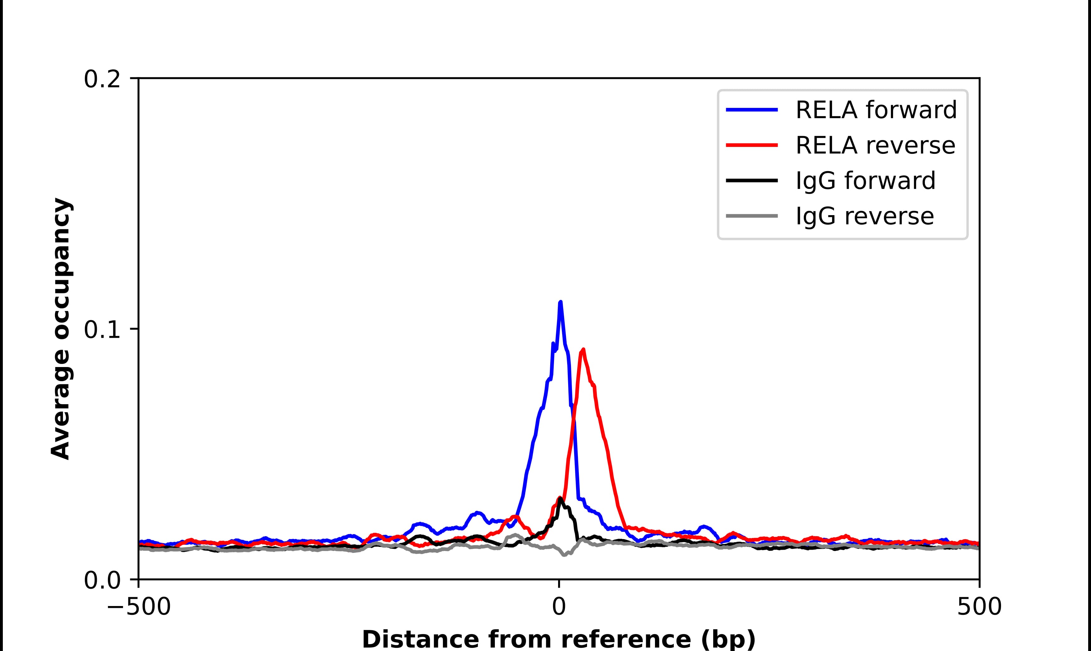 RelA/NFkB p65 Antibody - BSA Free Chromatin Immunoprecipitation ChIP: RelA/NFkB p65 Antibody - BSA Free
