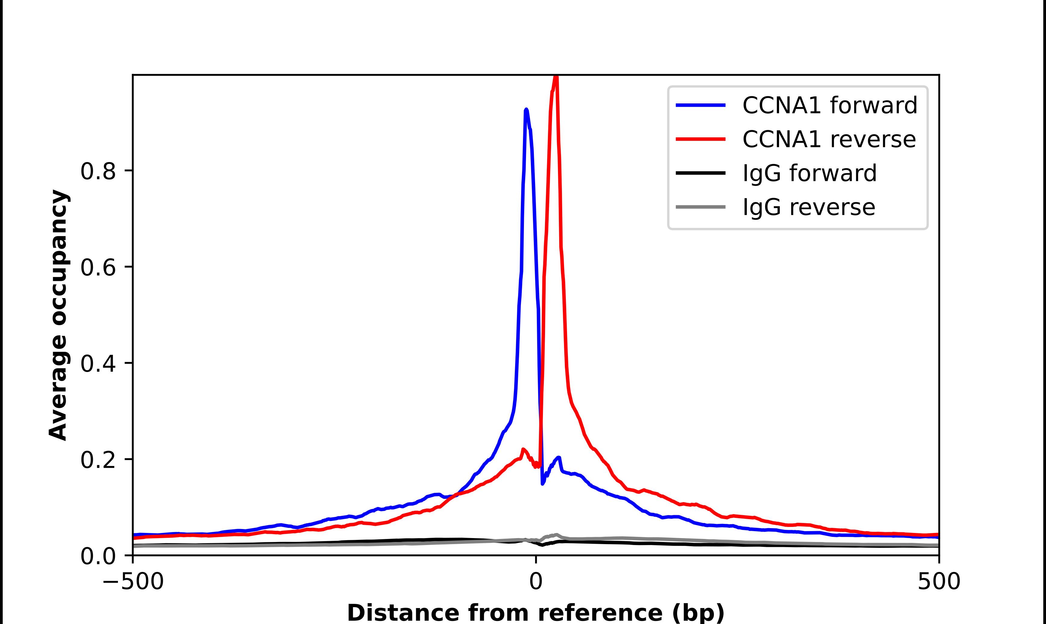 Cyclin A1 Antibody - BSA Free Chromatin Immunoprecipitation ChIP: Cyclin A1 Antibody - BSA Free