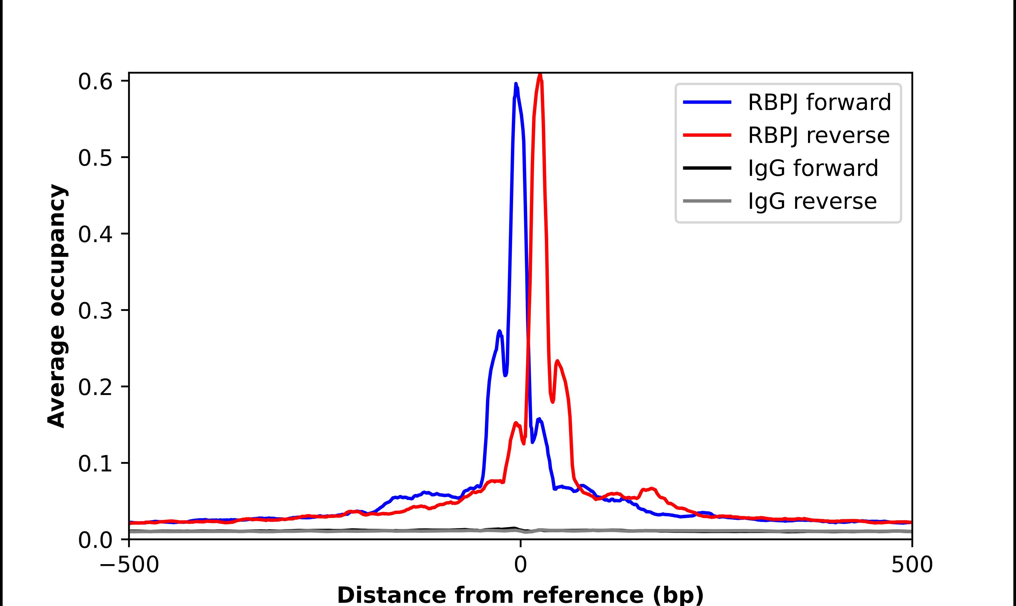 csl/RBPJK Antibody - BSA Free Chromatin Immunoprecipitation ChIP: csl/RBPJK Antibody - BSA Free