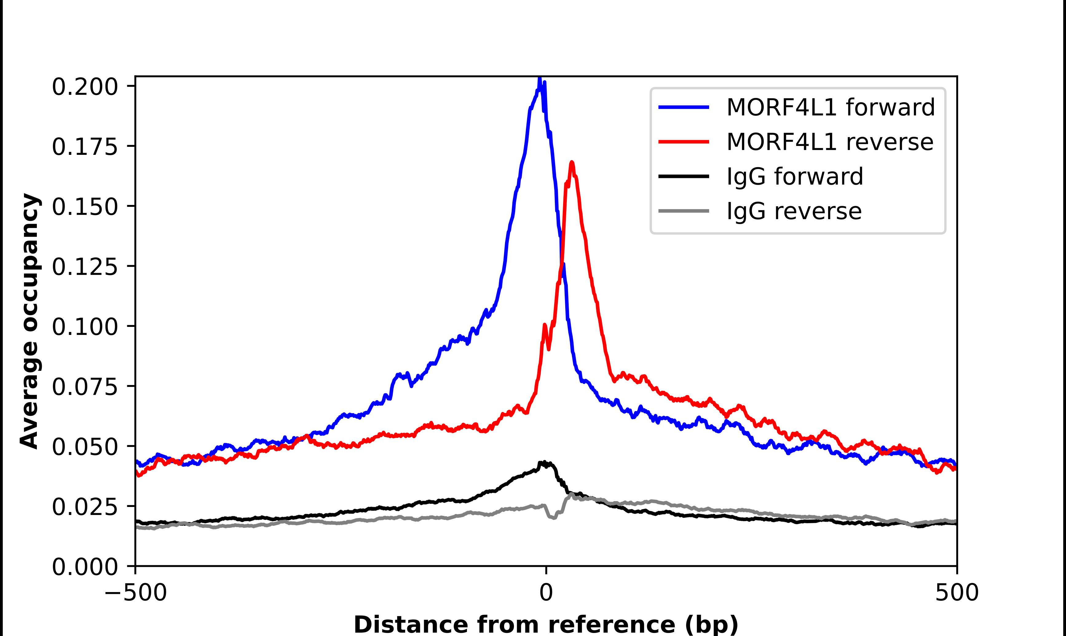 MRG15 Antibody - BSA Free Chromatin Immunoprecipitation-exo-Seq: MRG15 Antibody - BSA Free [NBP2-56097]