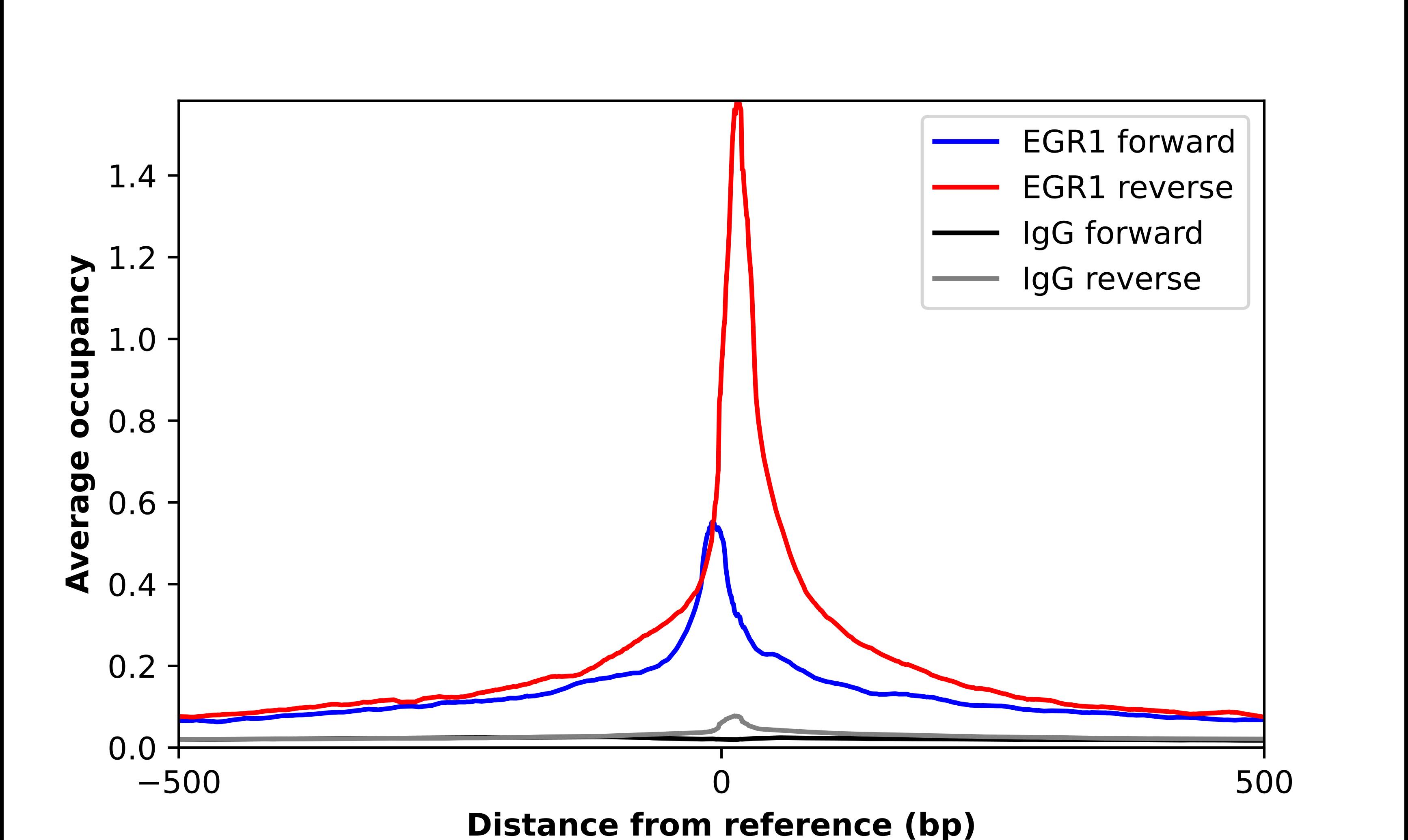 EGR1 Antibody - BSA Free Chromatin Immunoprecipitation-exo-Seq: EGR1 Antibody - BSA Free [NBP2-56101]