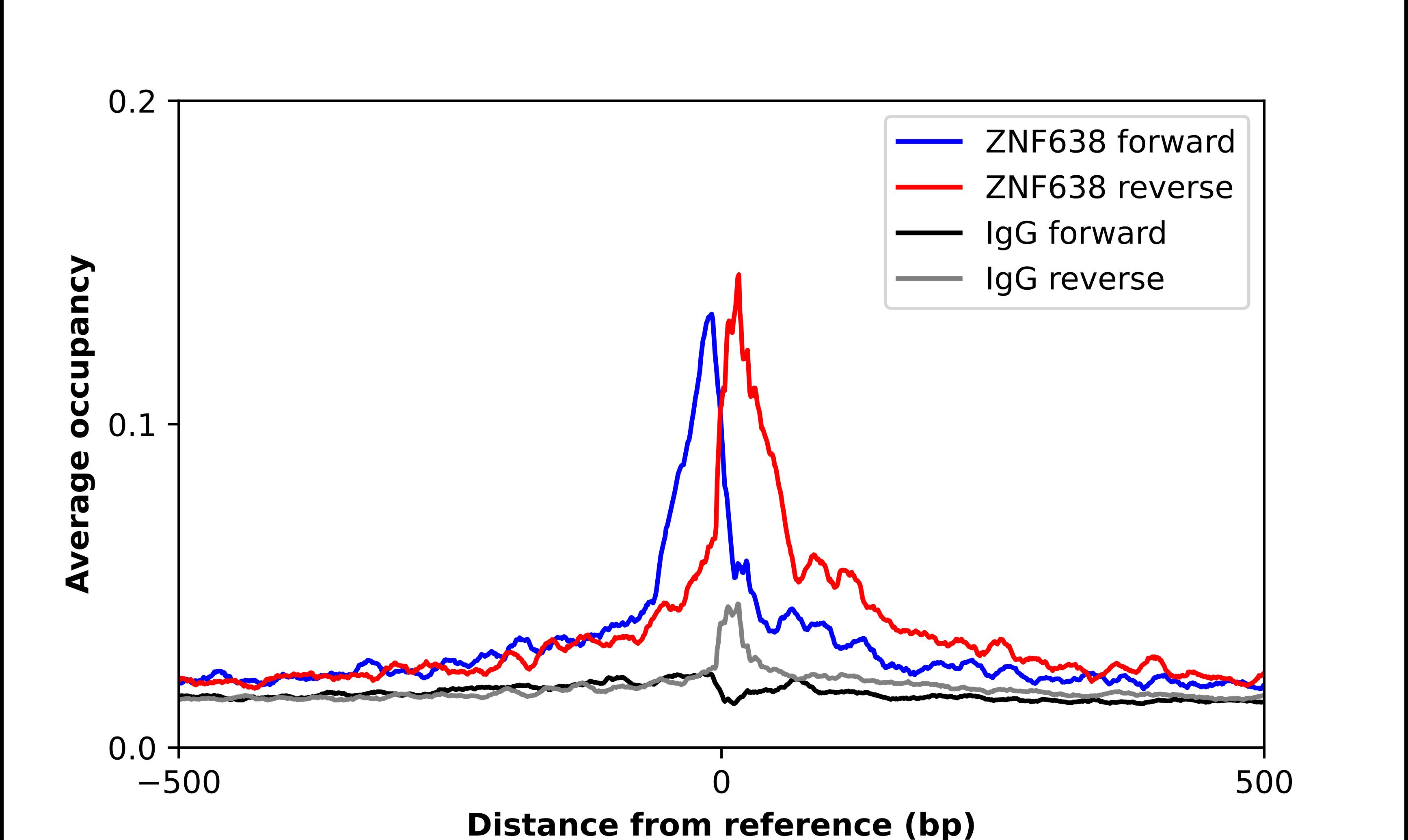 ZNF638 Antibody - BSA Free Chromatin Immunoprecipitation ChIP: ZNF638 Antibody - BSA Free