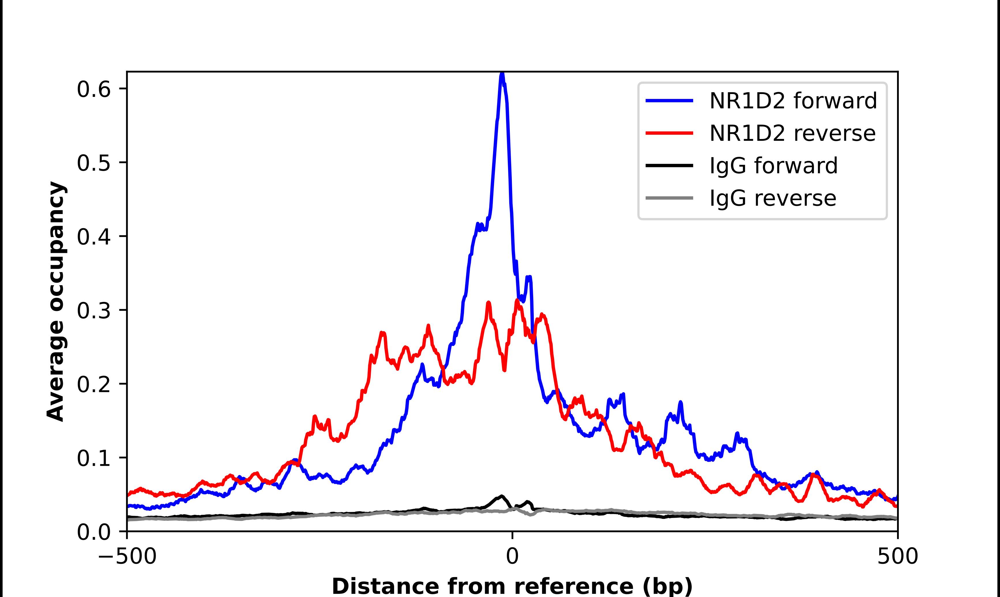 Rev-erb beta/NR1D2 Antibody - BSA Free Chromatin Immunoprecipitation-exo-Seq: Rev-erb beta/NR1D2 Antibody - BSA Free [NBP2-56141]