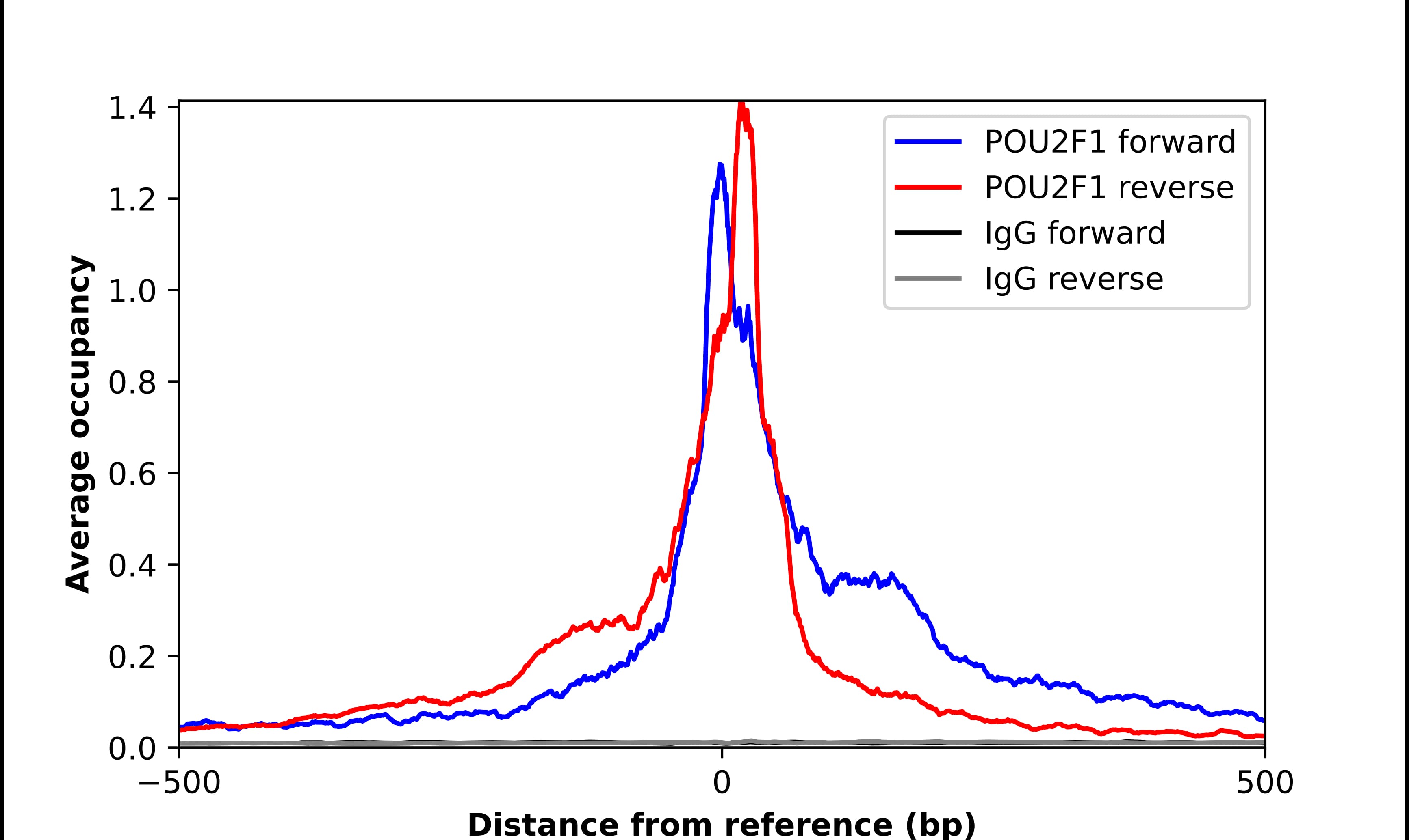OCT1 Antibody - BSA Free Chromatin Immunoprecipitation-exo-Seq: OCT1 Antibody - BSA Free [NBP2-56190]